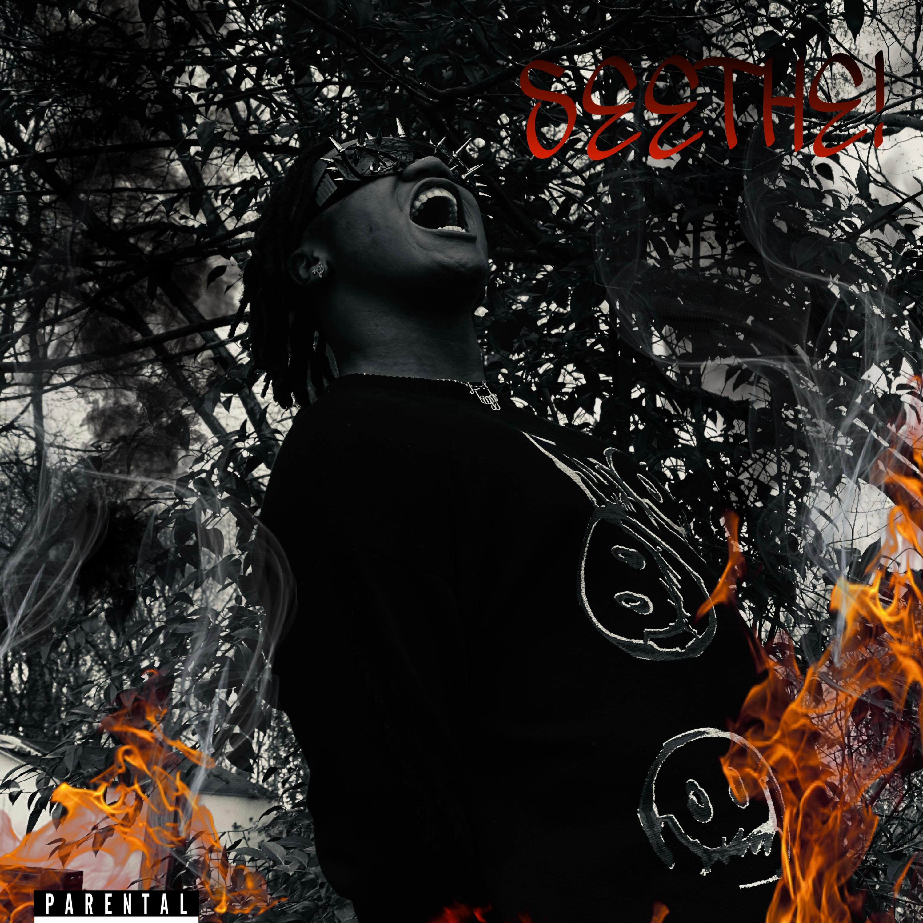 SEETHE ! artwork