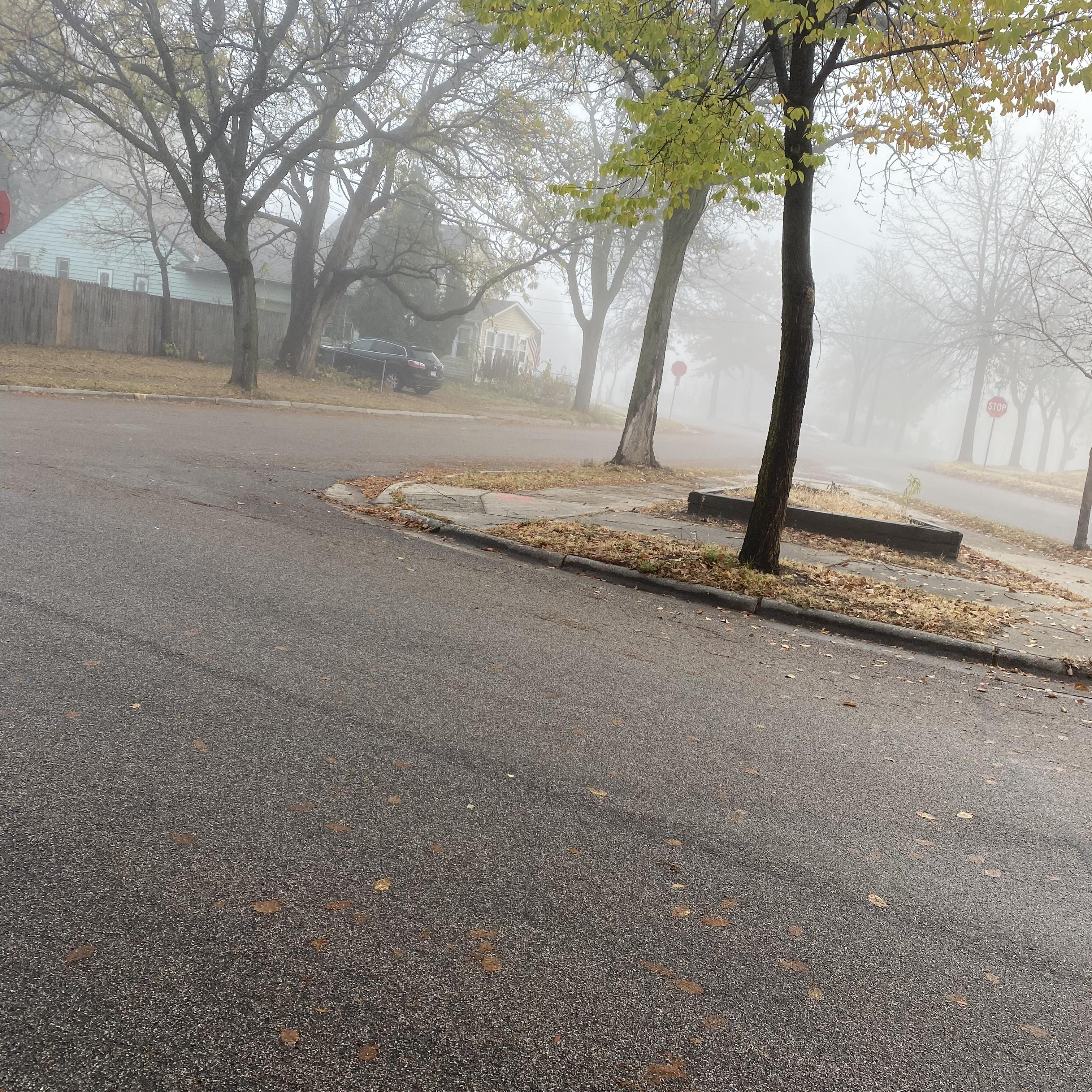 The Man Freestyle artwork