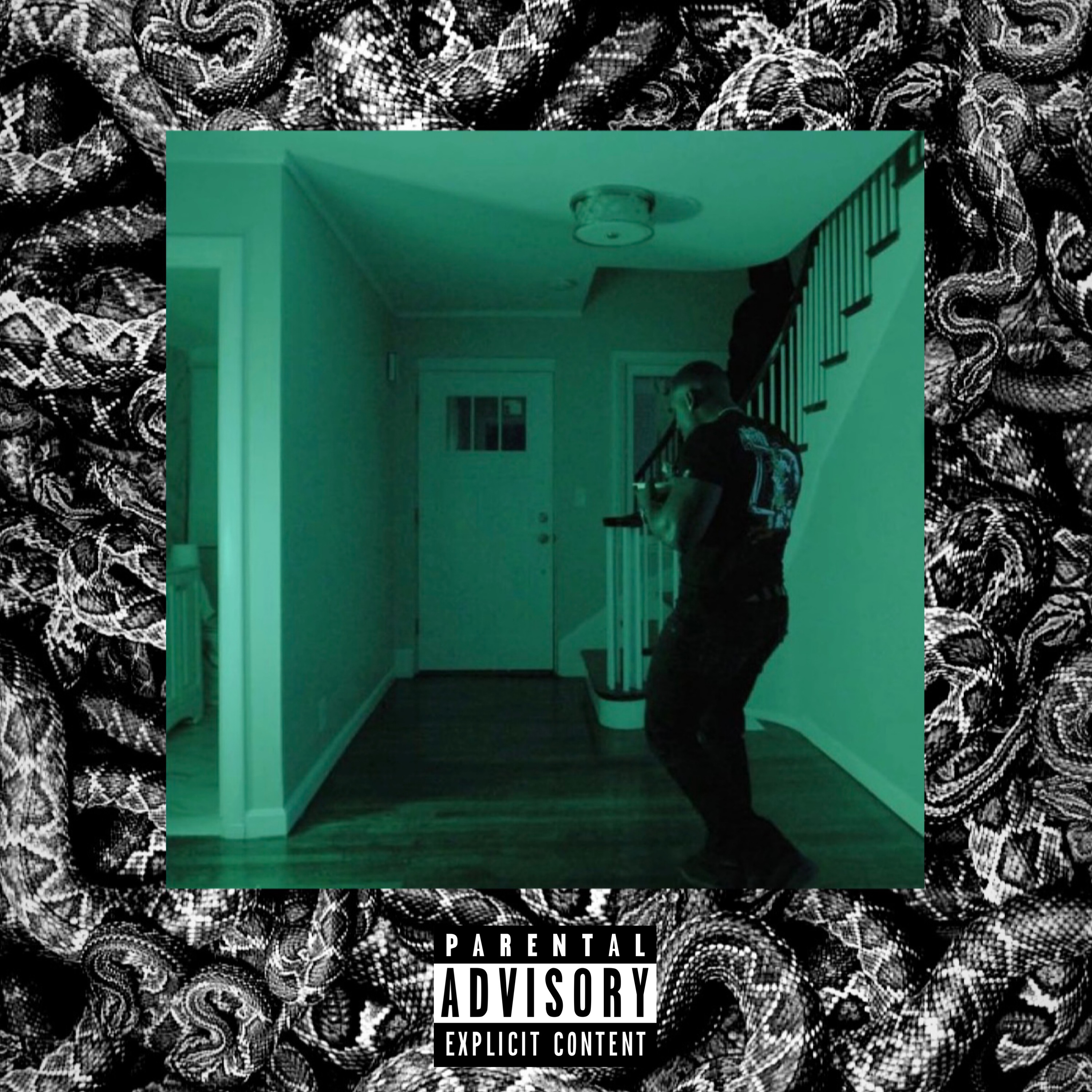 Shinin' Thru The Darkness artwork