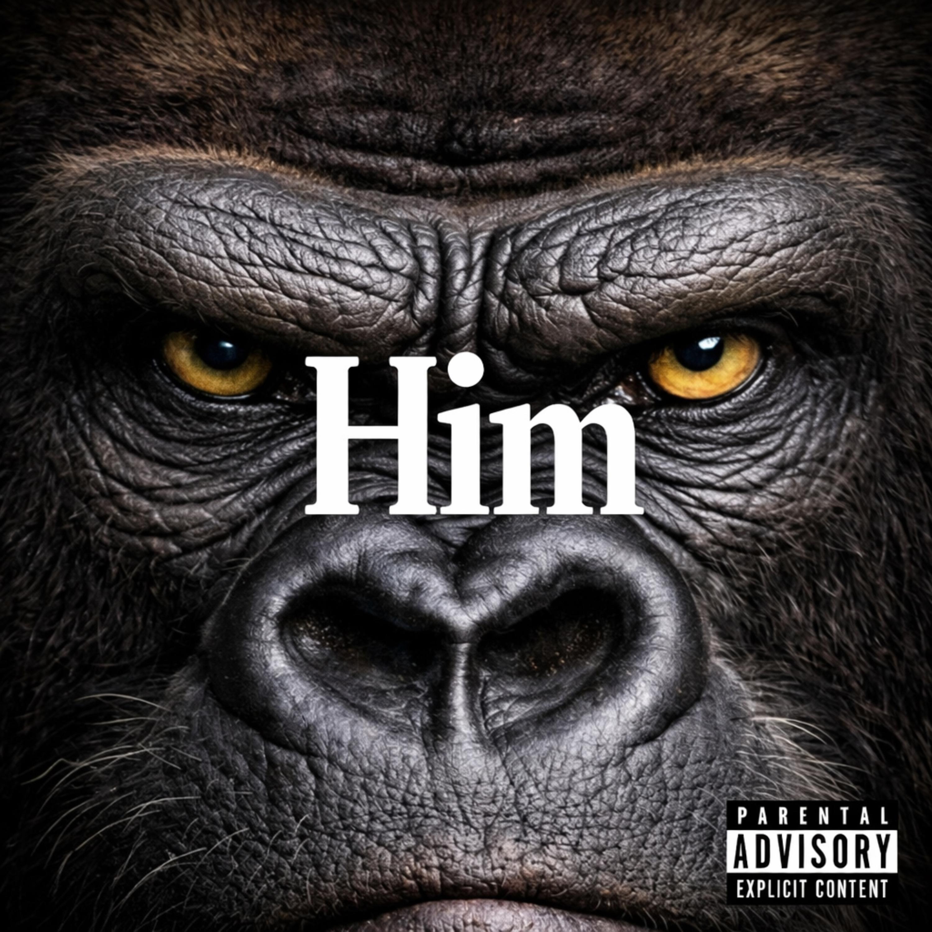 Him artwork