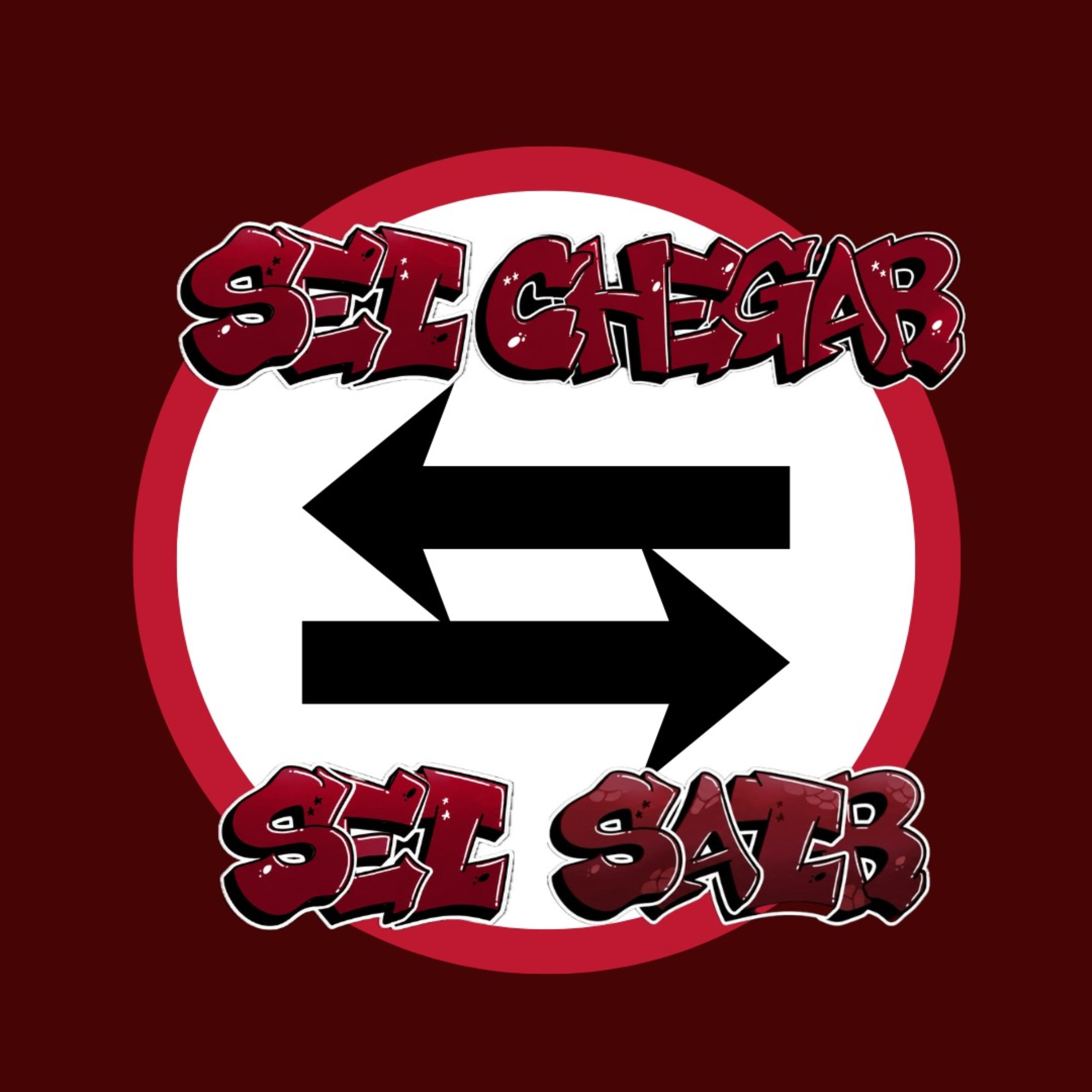 SEI CHEGAR SEI SAIR by OG Vaz cover art