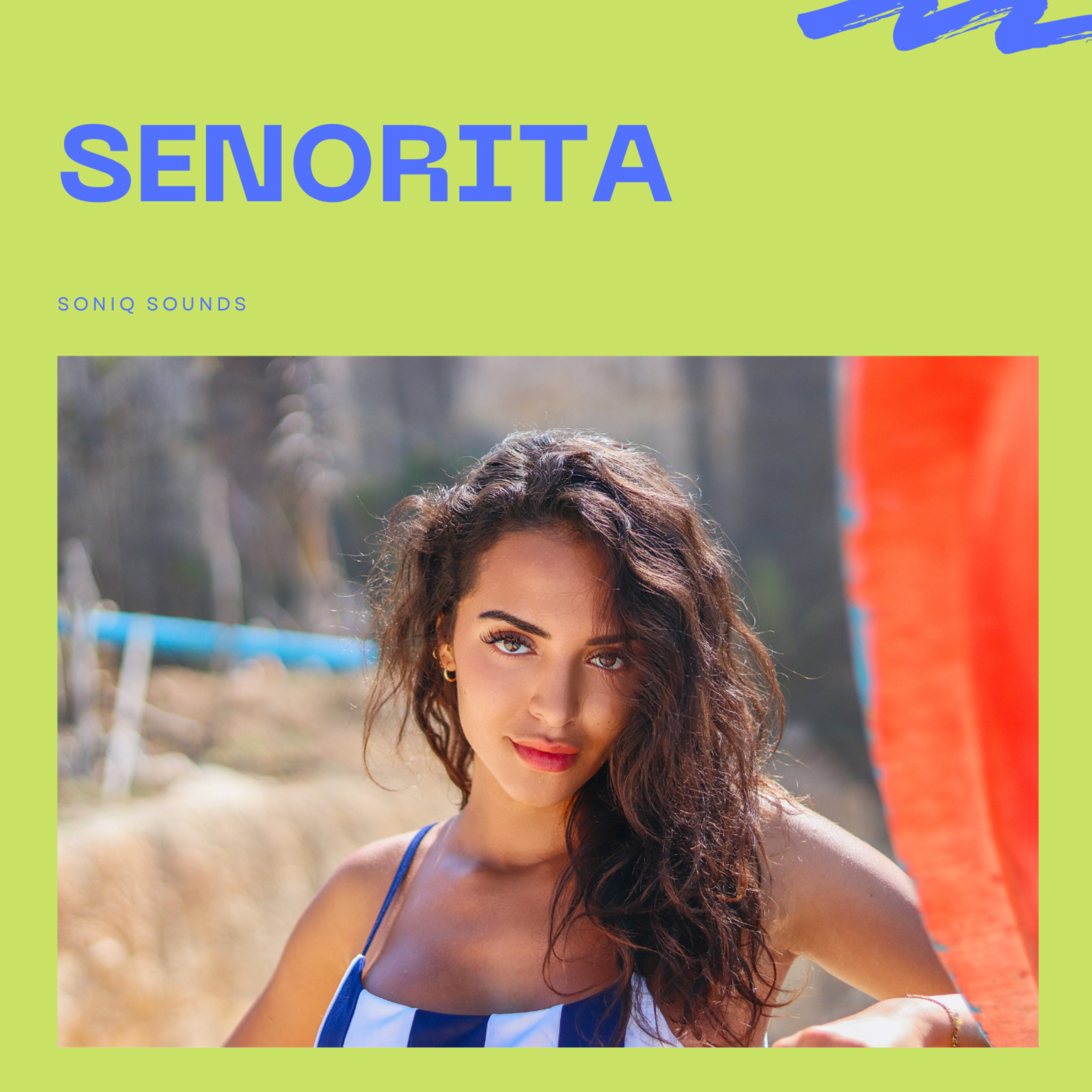 Senorita (RnB Latin Instrumental) artwork