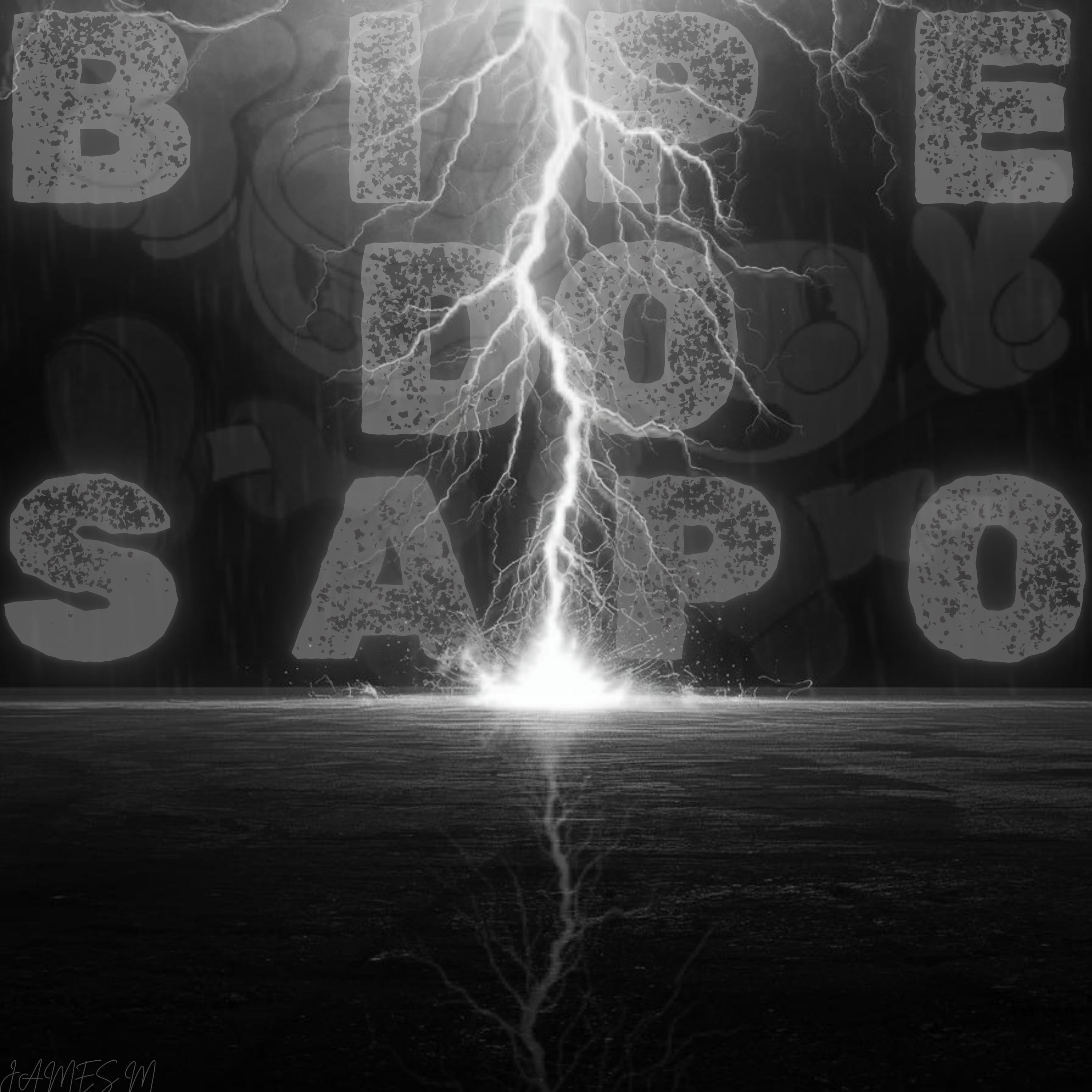 BIPE DO SAPO (slowed) artwork