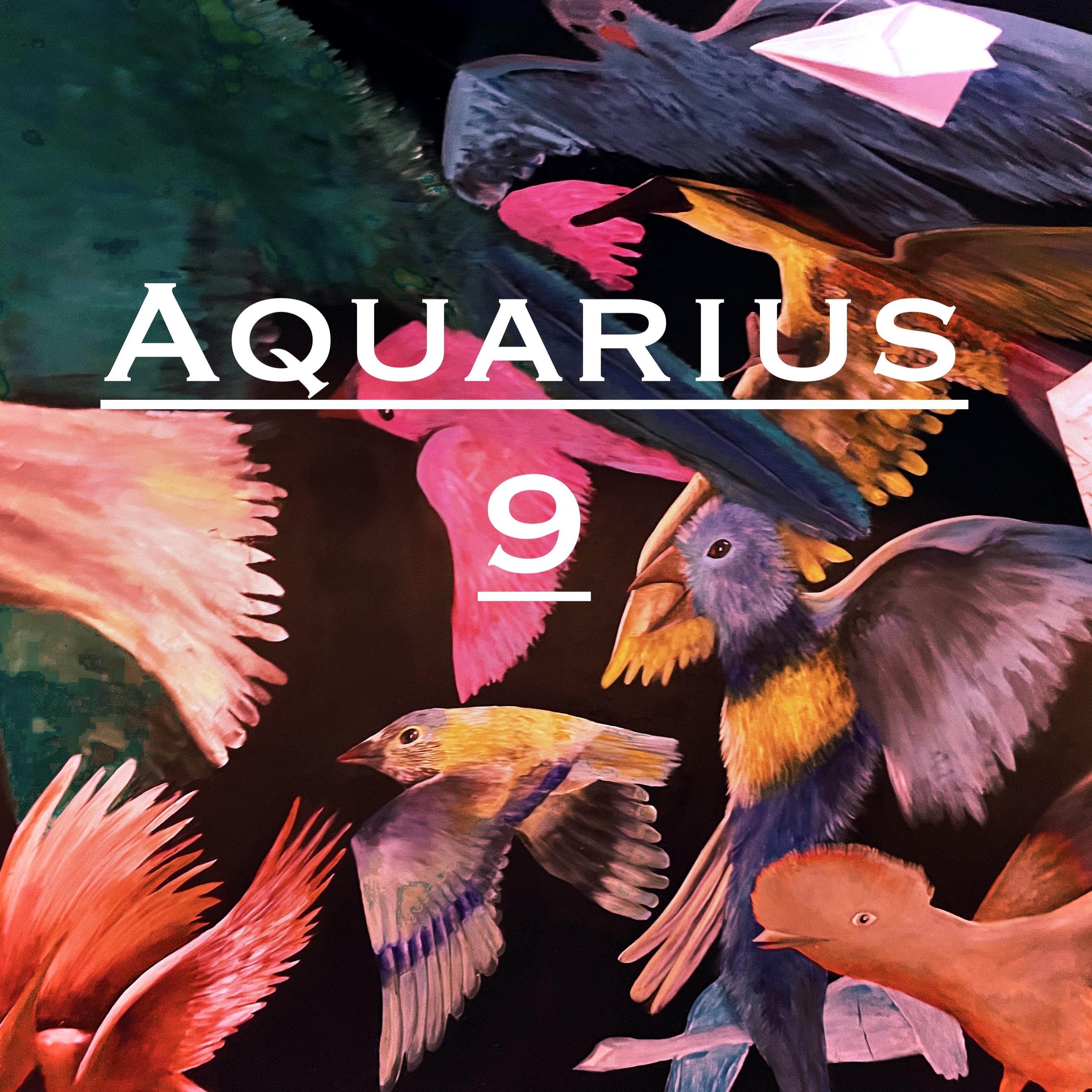 Aquarius 9 artwork