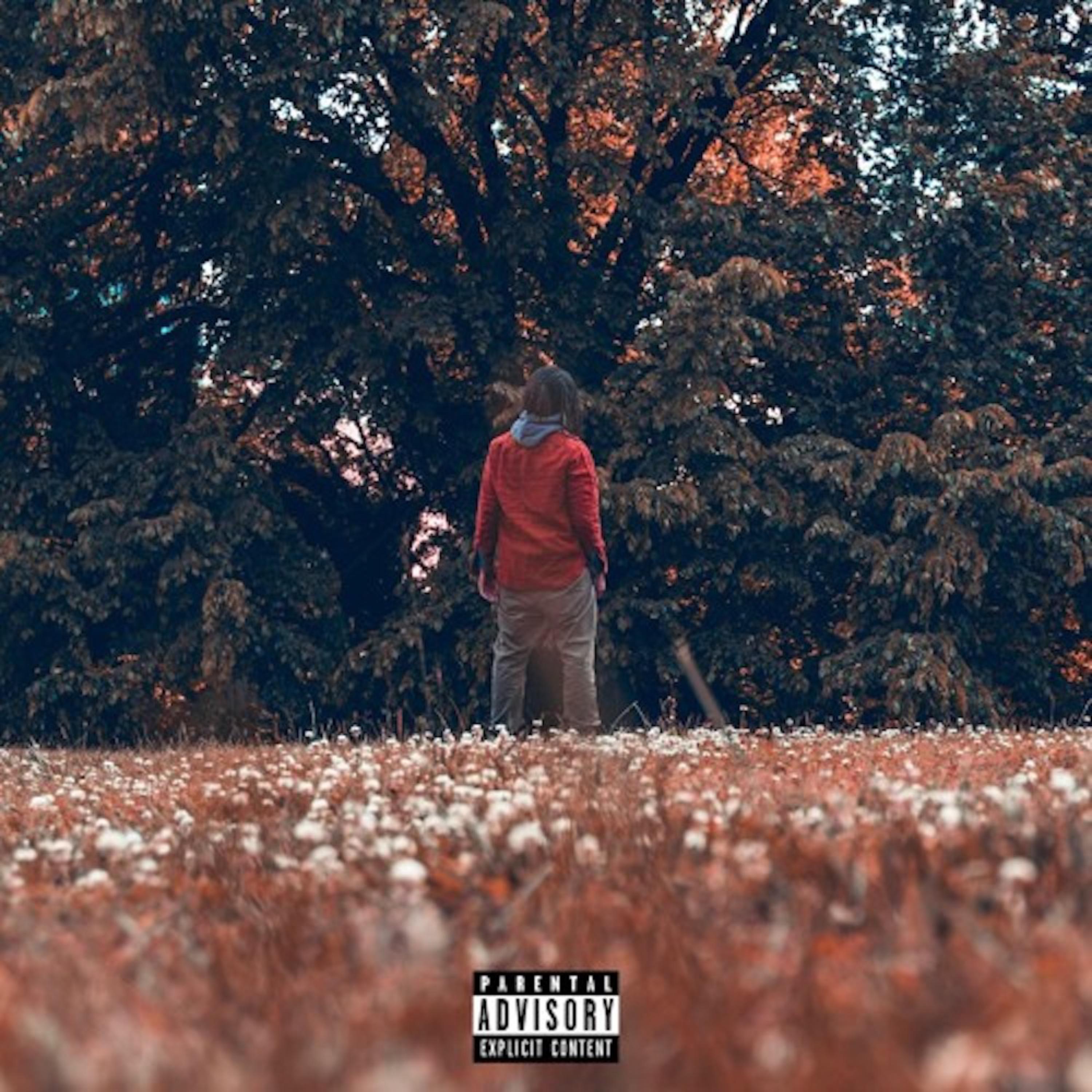 Time Will Tell artwork