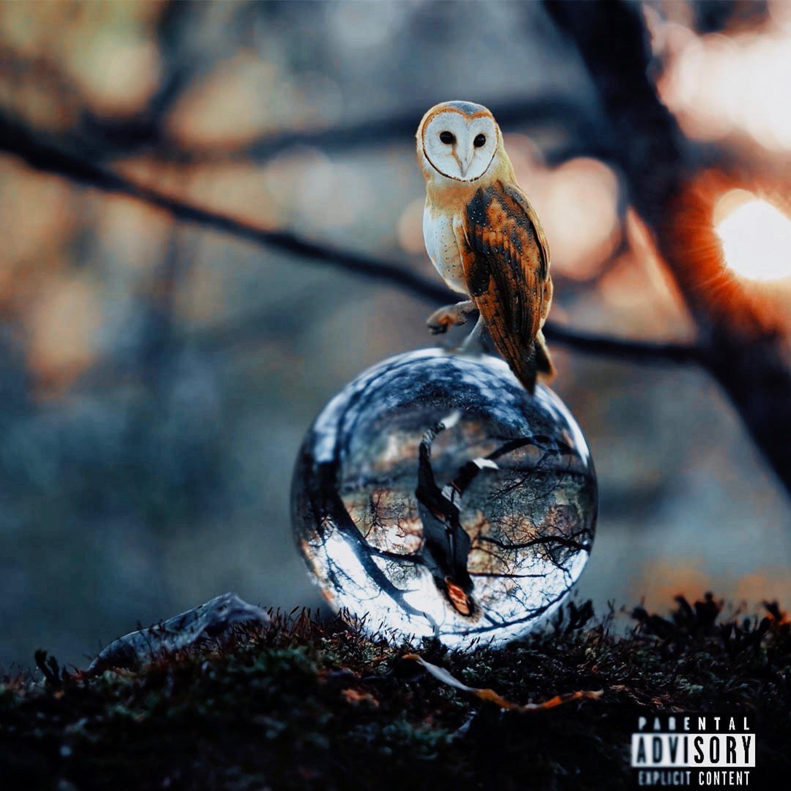 11:11 (Alignment) artwork