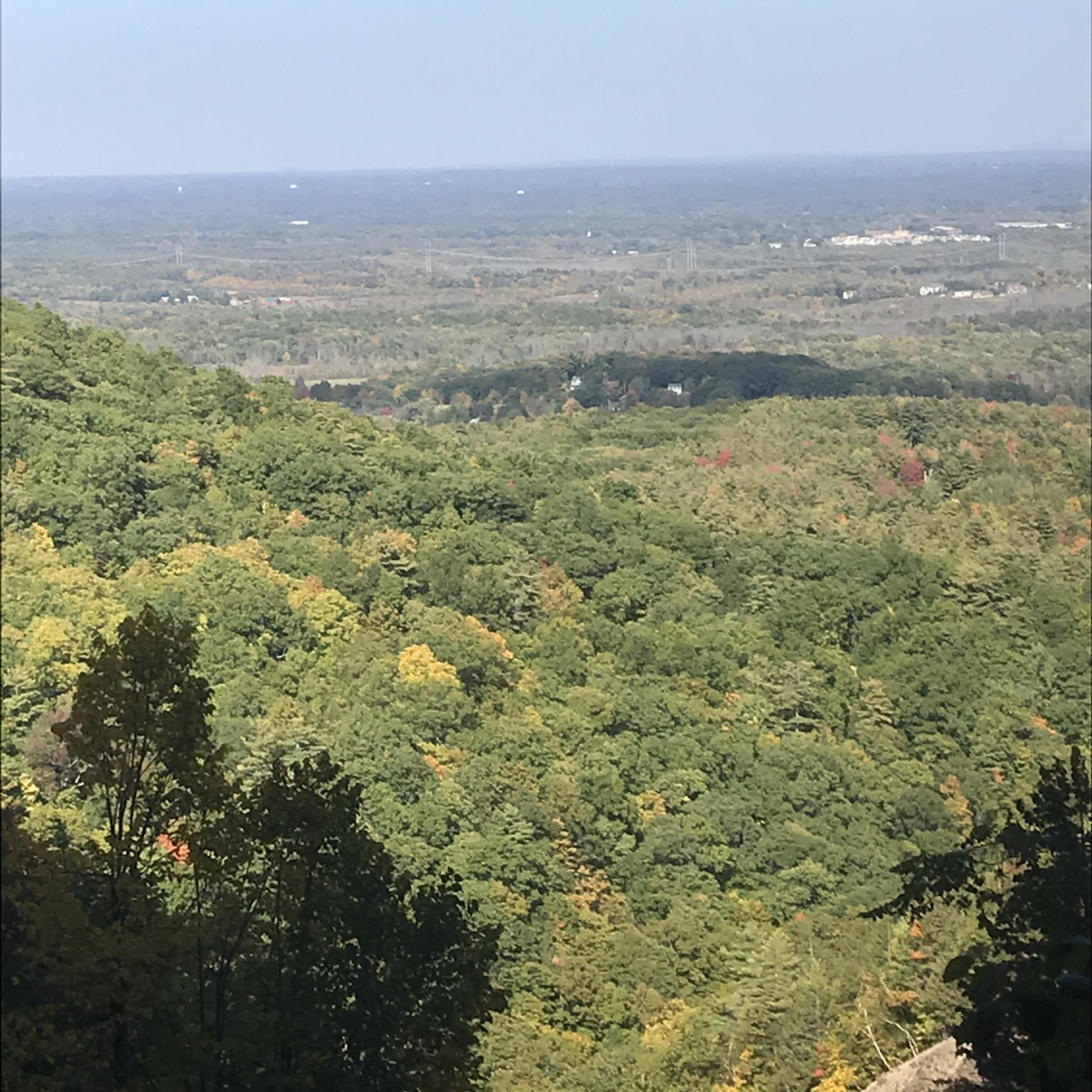 Fell For You artwork