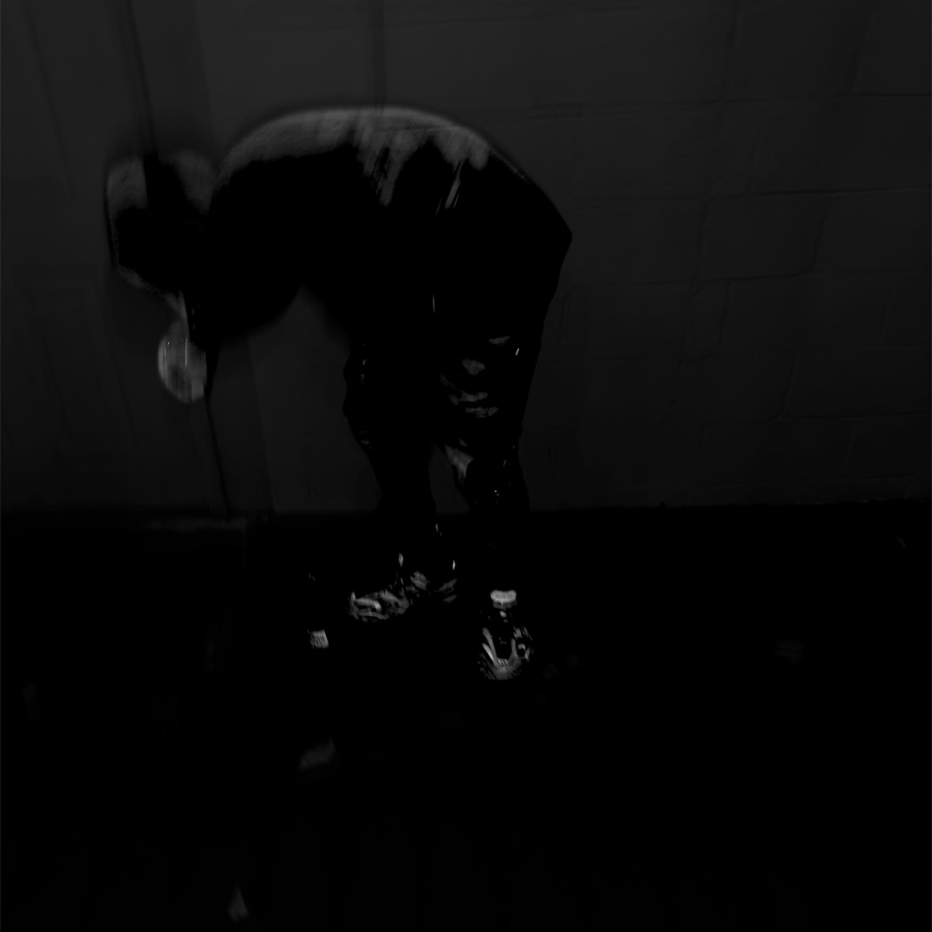UNTAMED artwork
