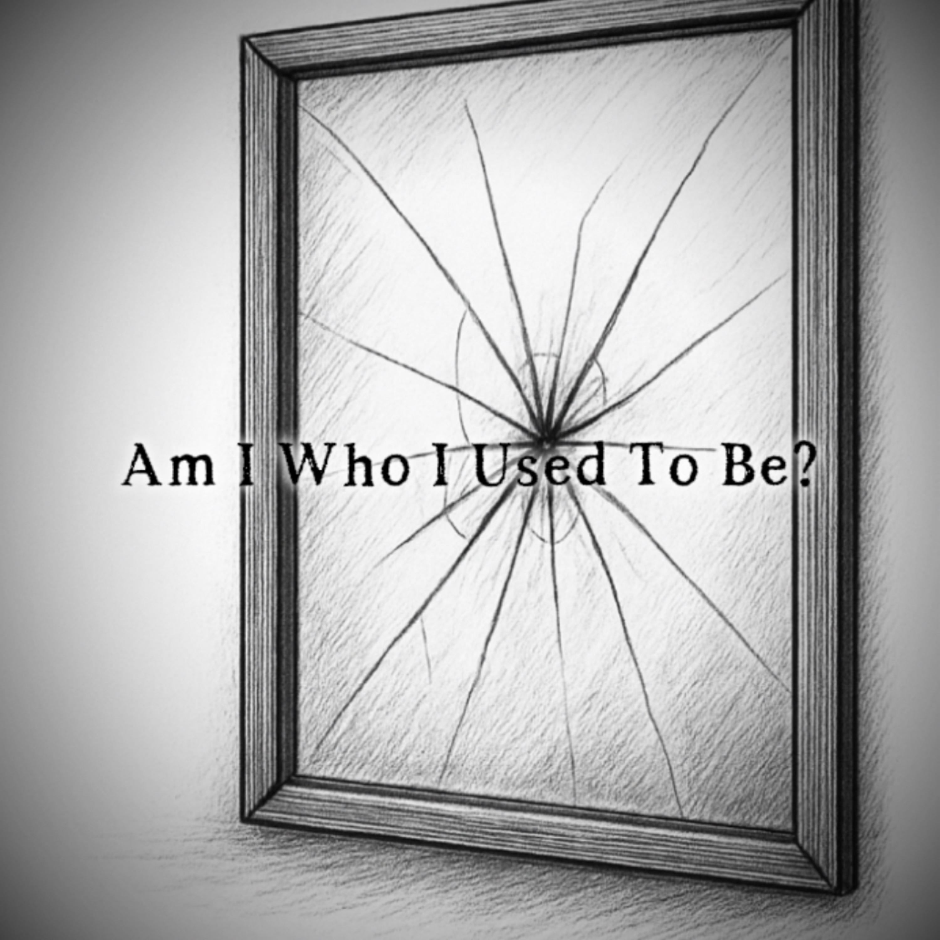 Am I Who I Used To Be? artwork