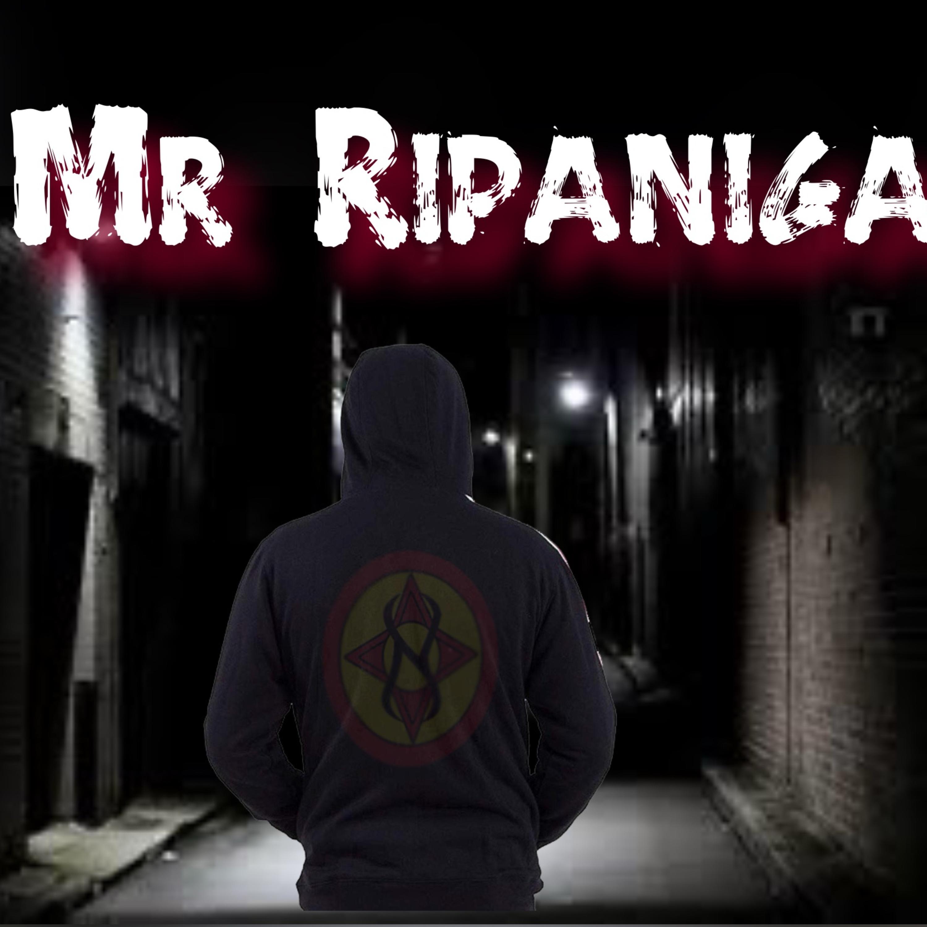 Mr Ripaniga artwork