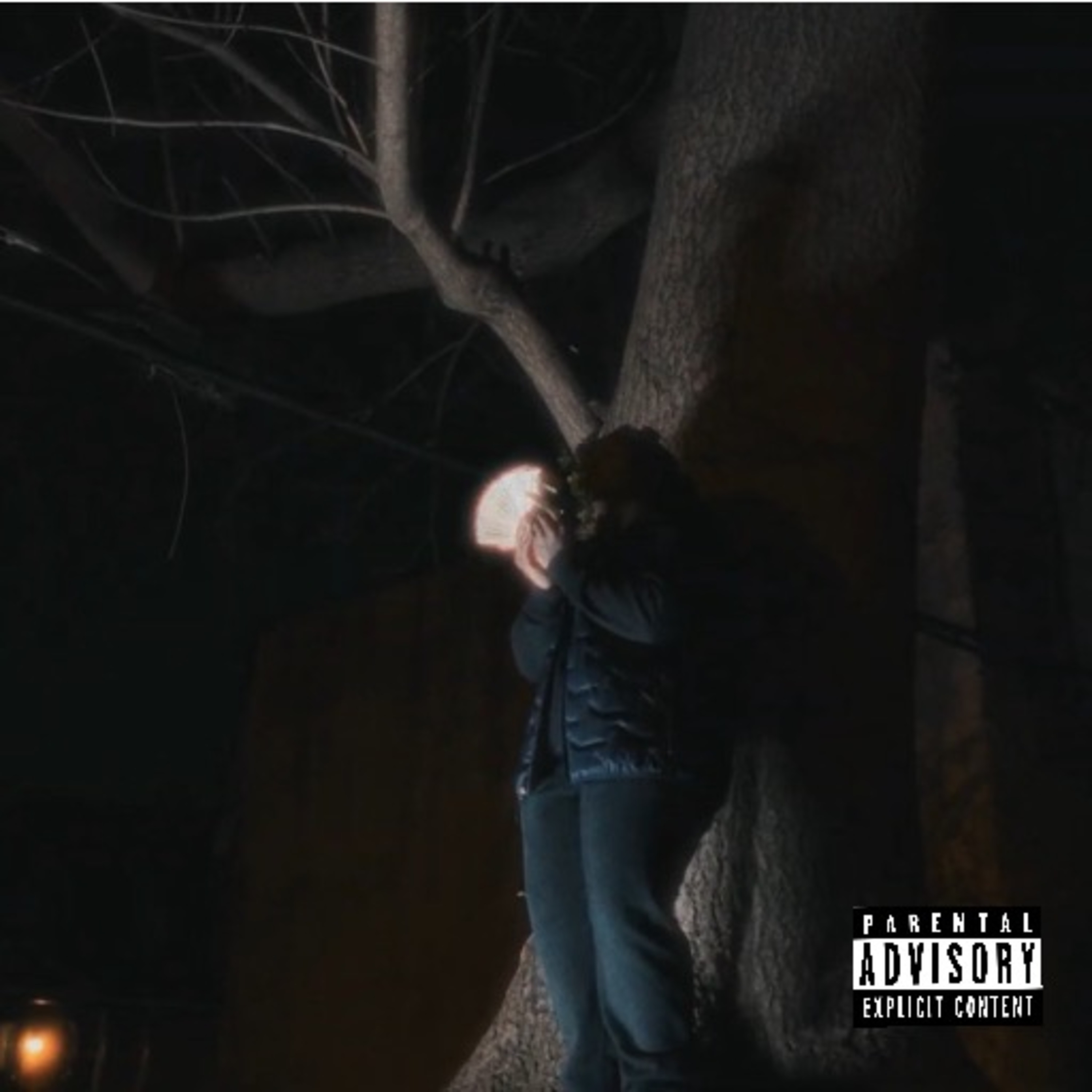 V12 artwork