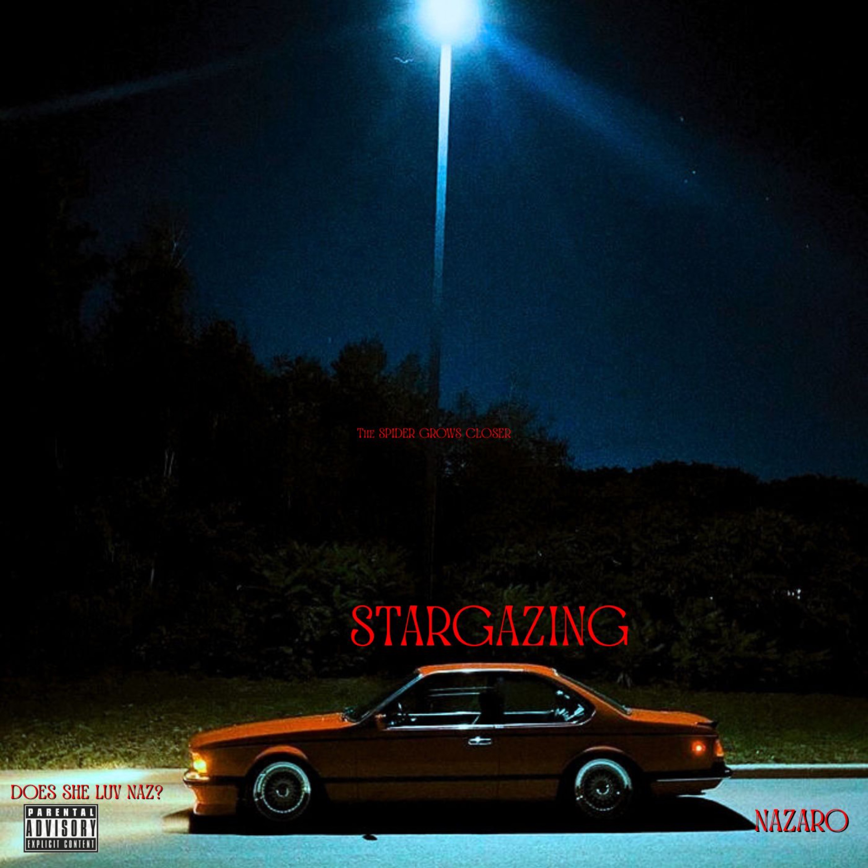 STARGAZING artwork