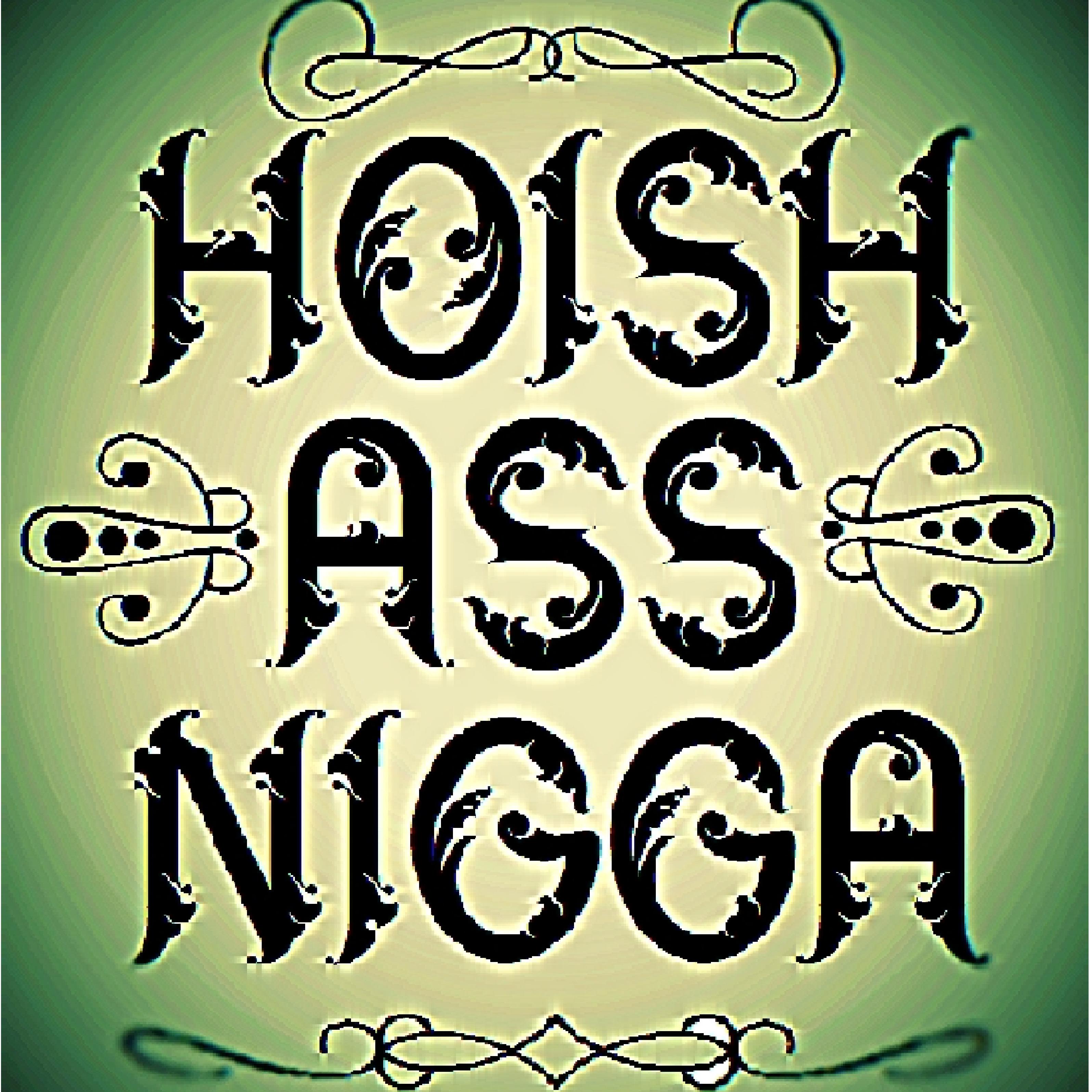 Hoish ass nigga artwork