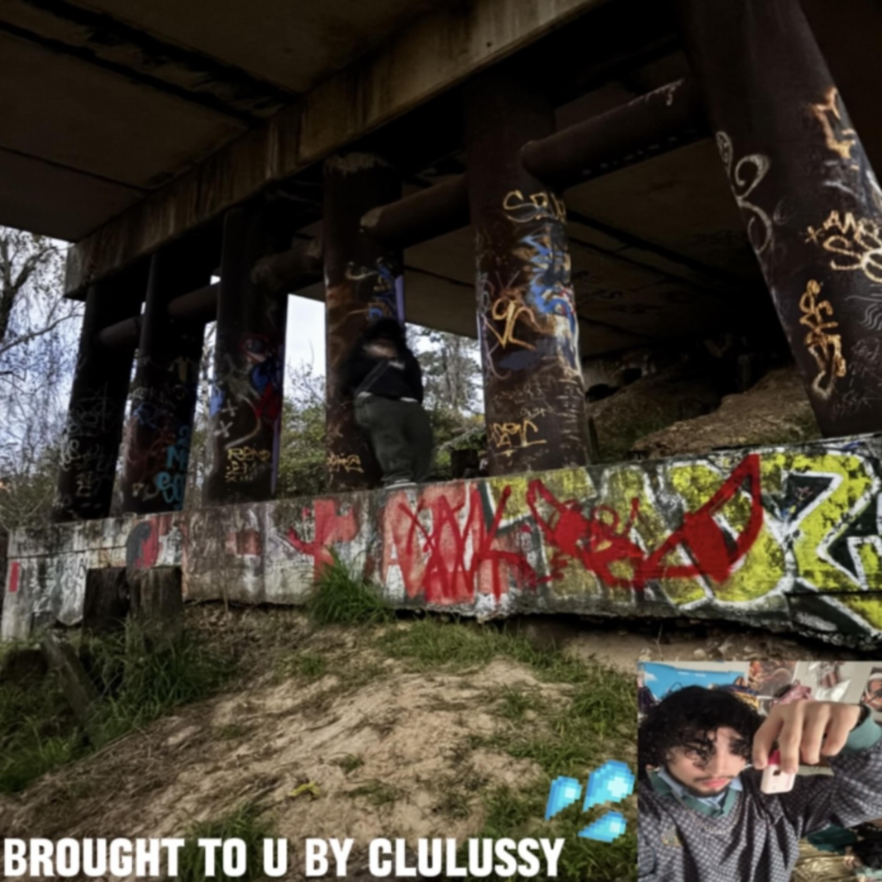 blunt on pluto! artwork