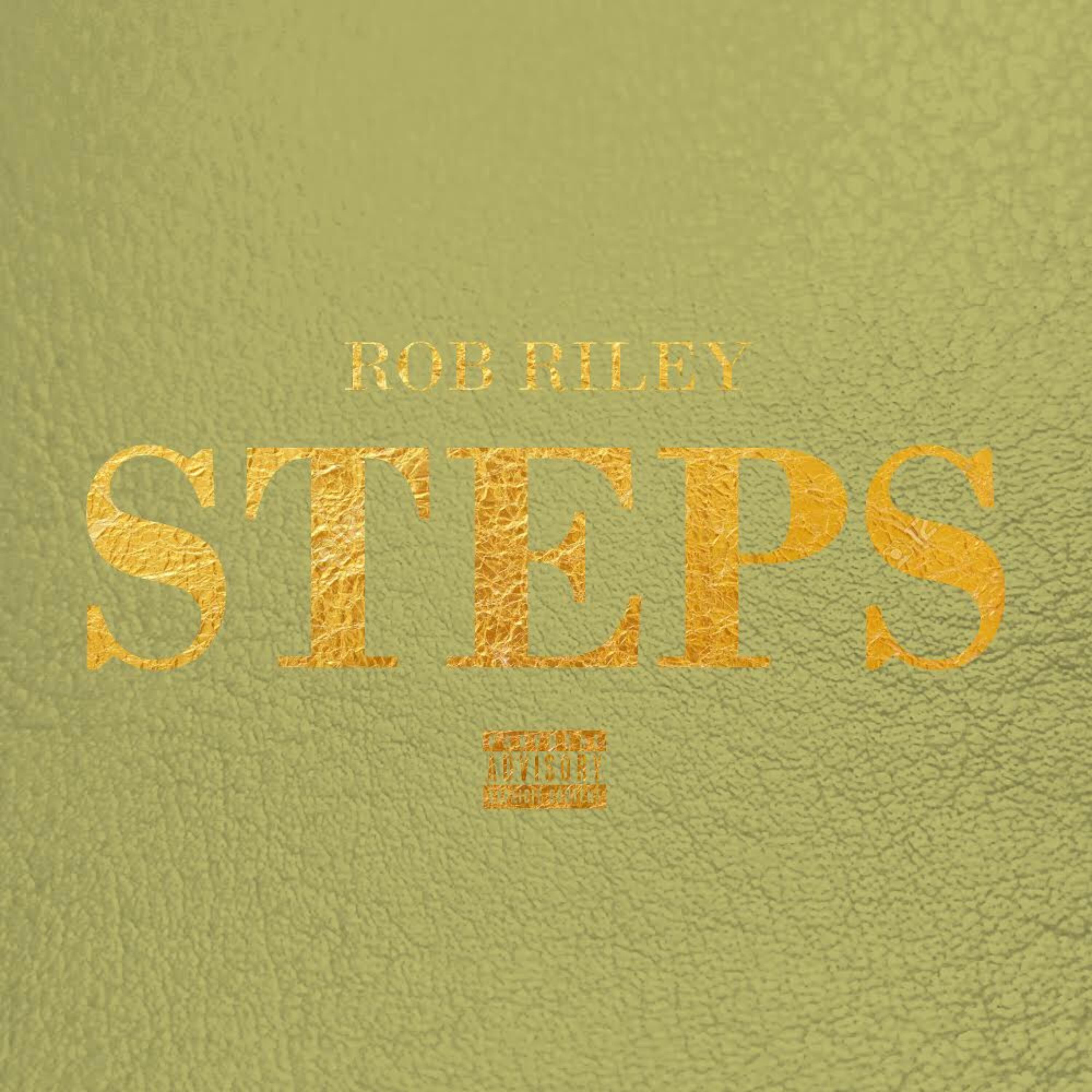 STEPS artwork