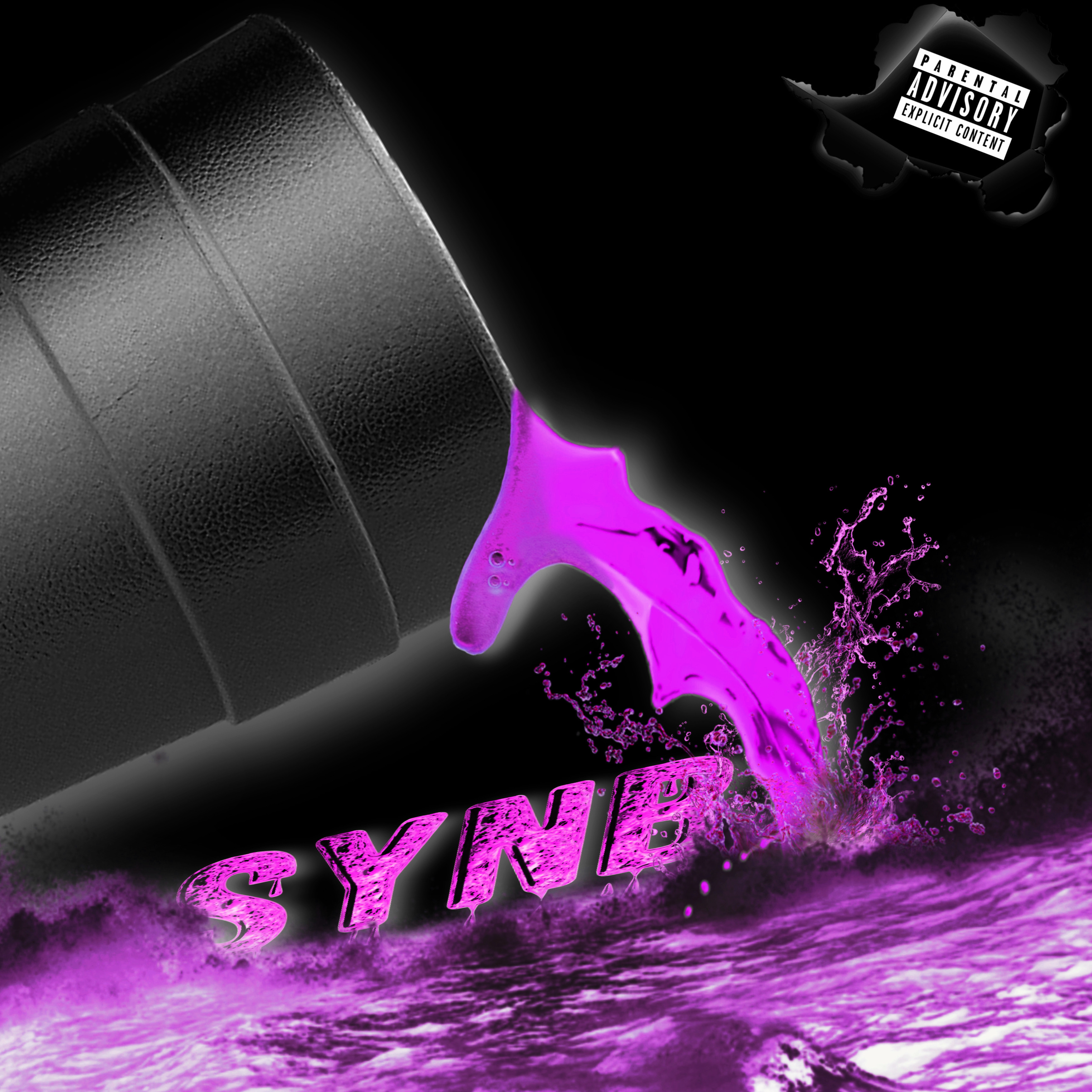 SyNB Deluxe artwork