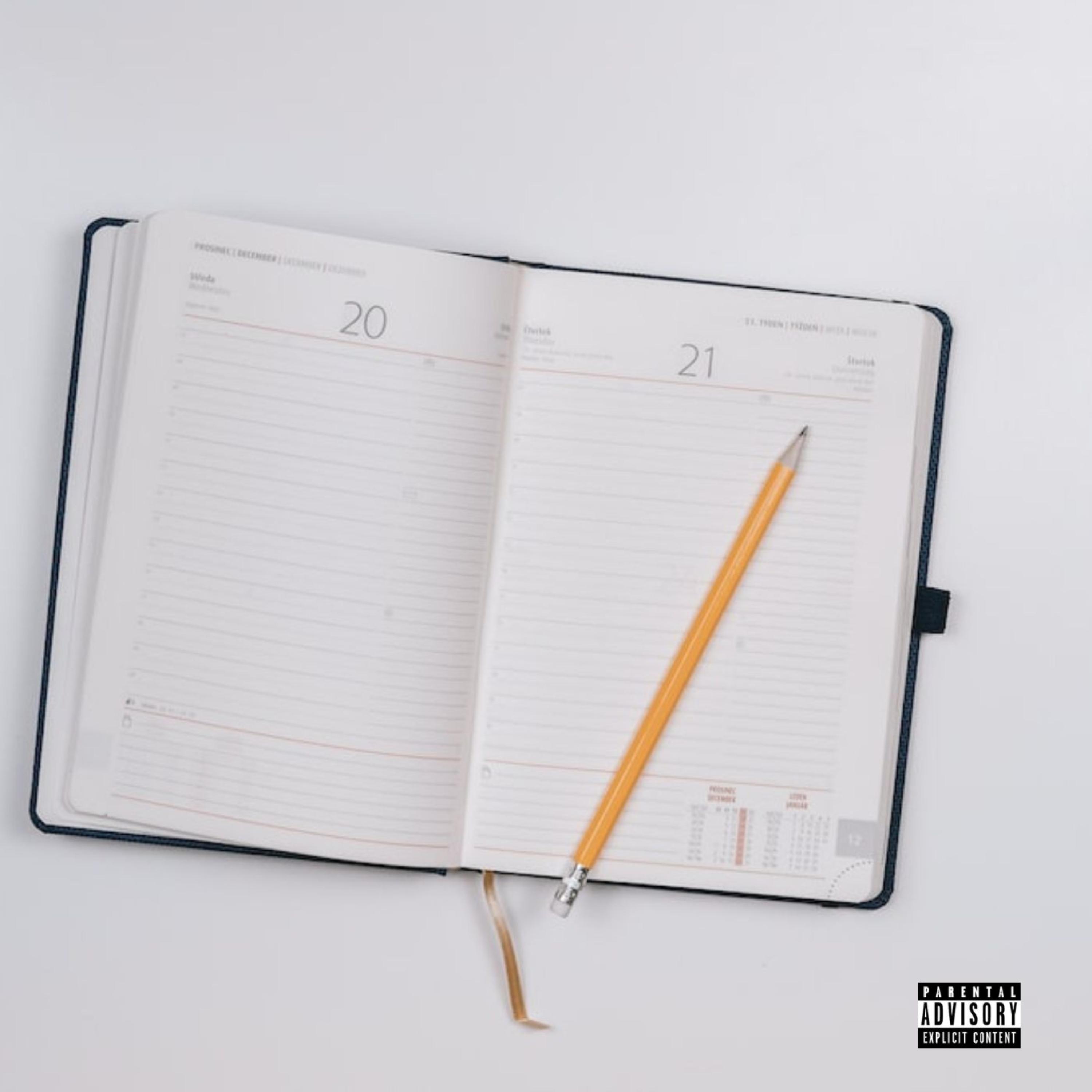 Diary artwork