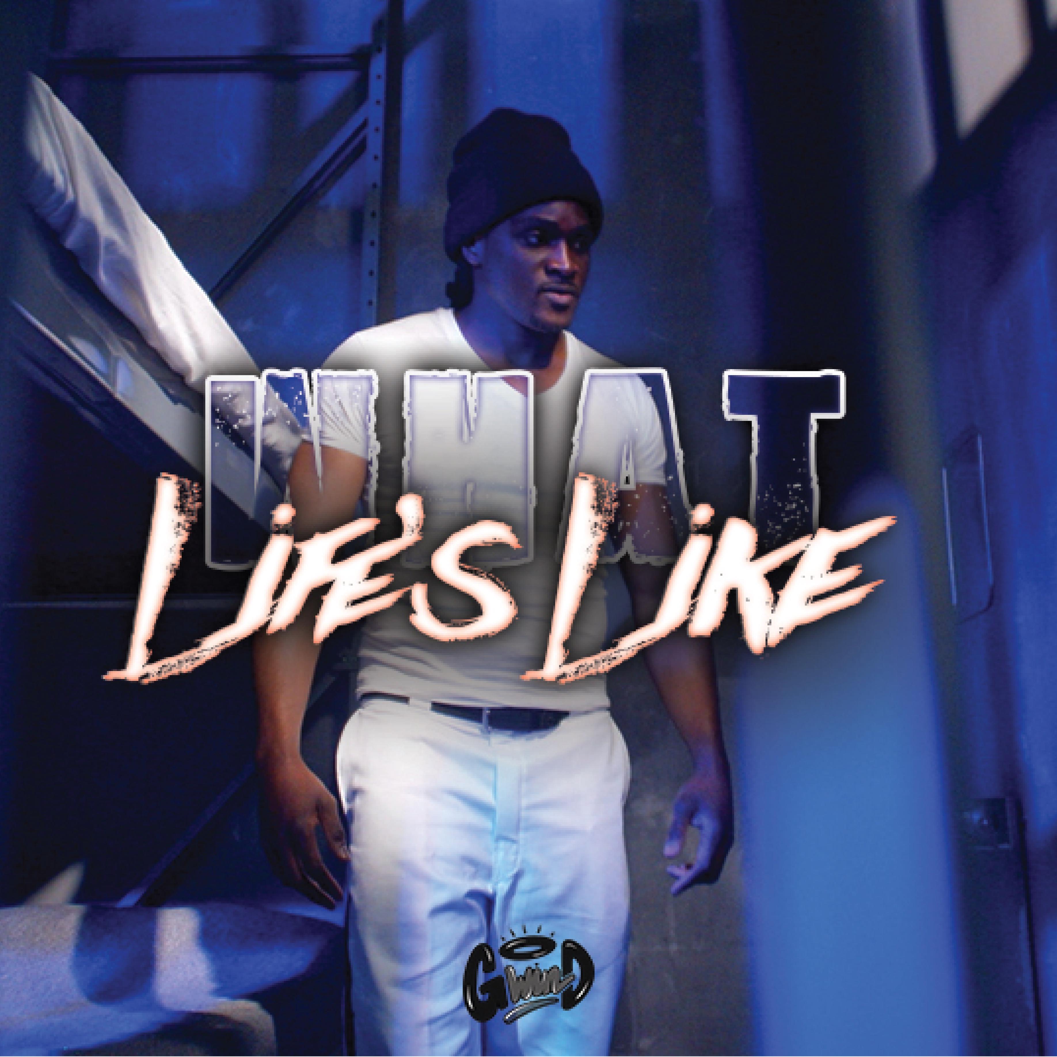 What Life's Like artwork