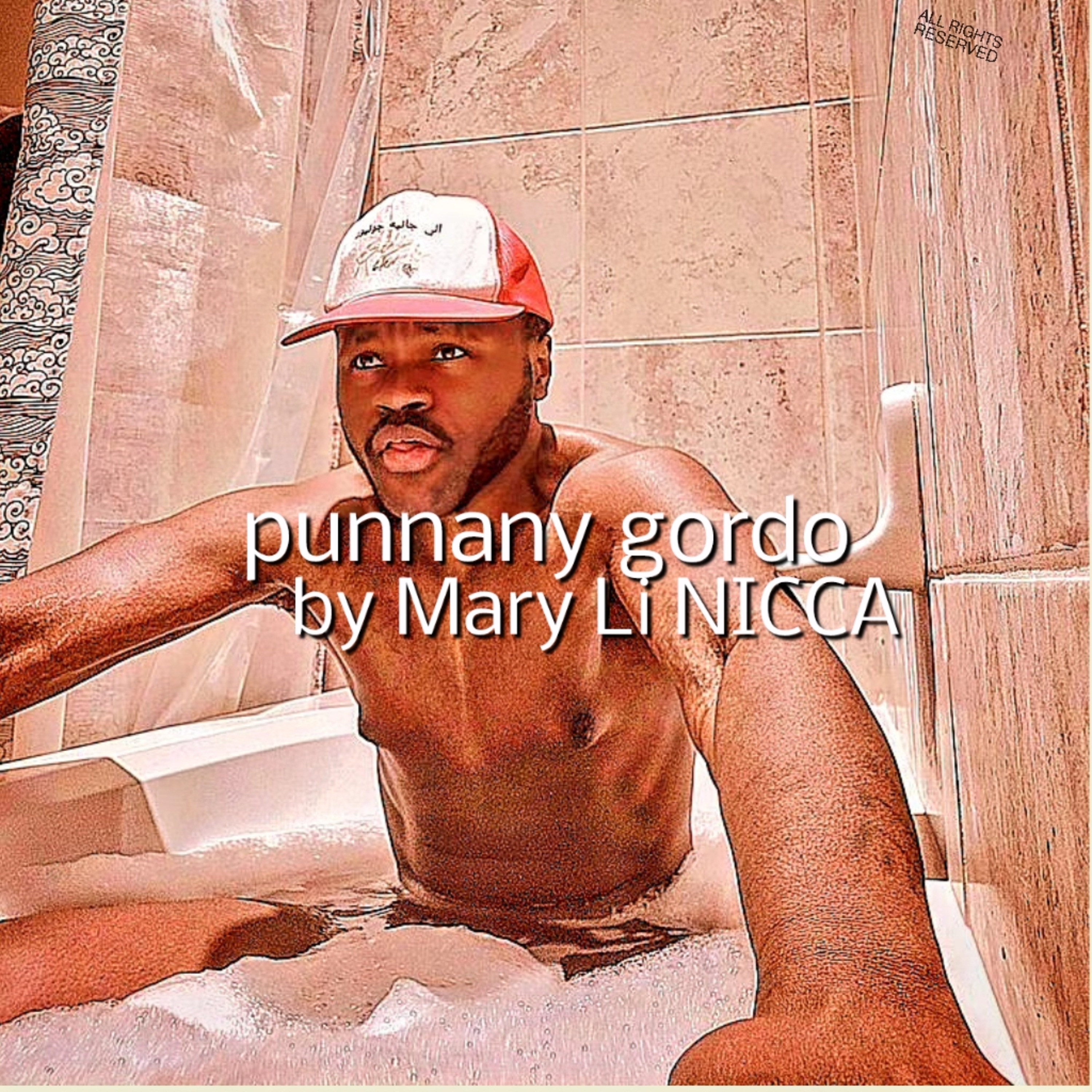 punanny gordo artwork
