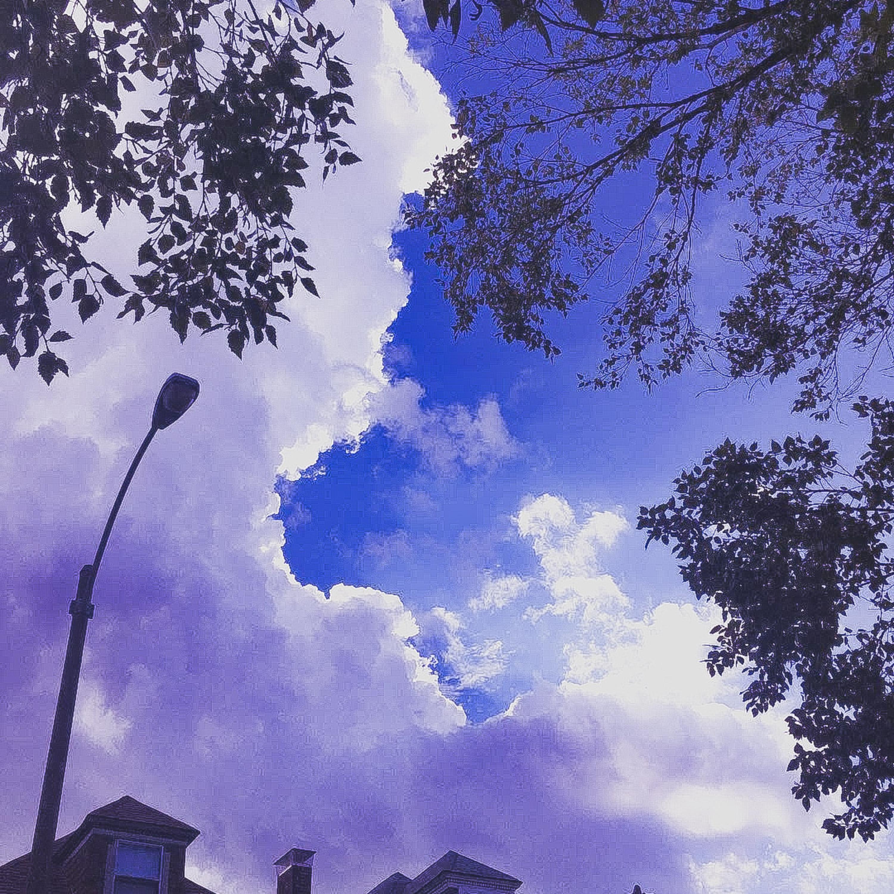 reverie artwork