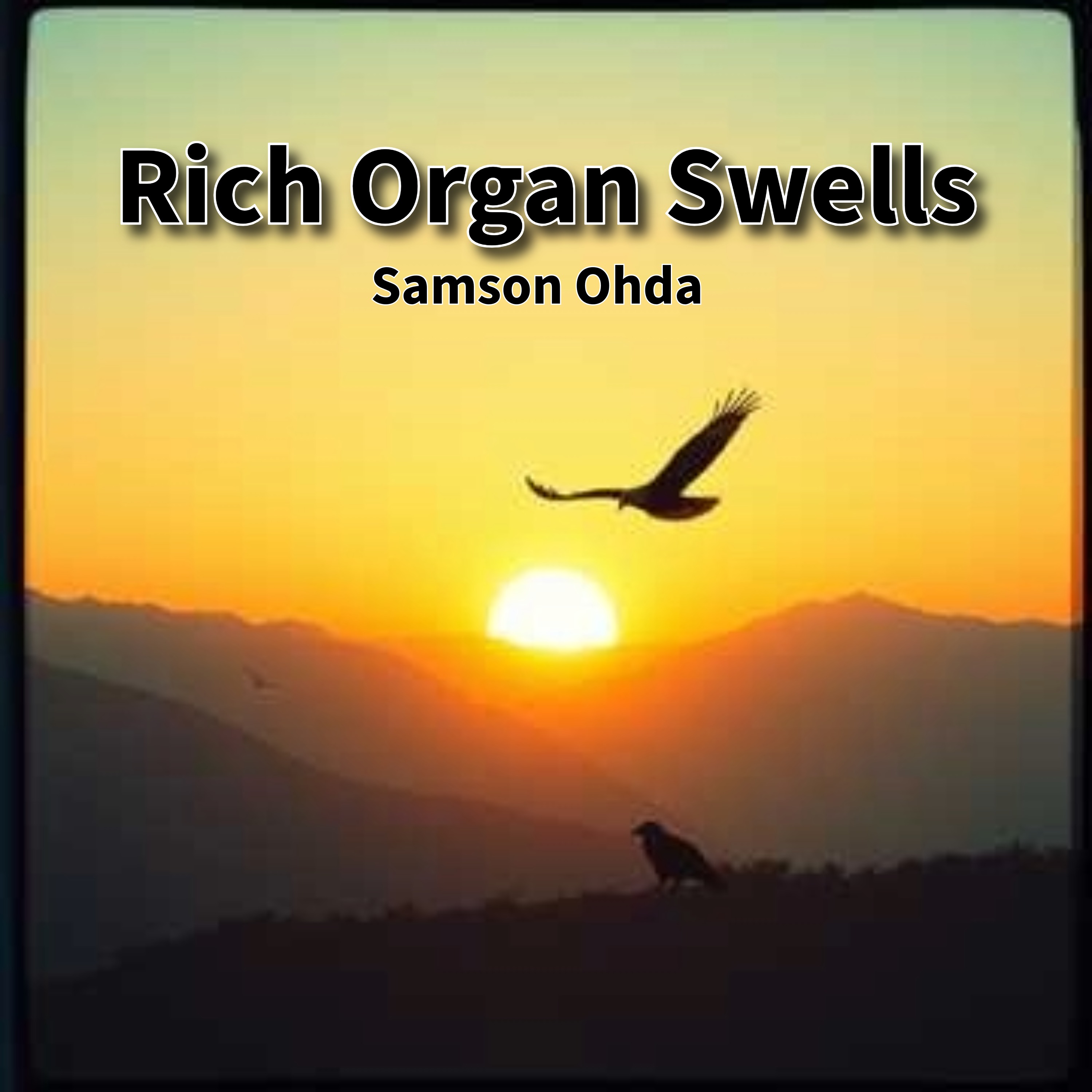 Rich Organ Swells Vol 2 artwork