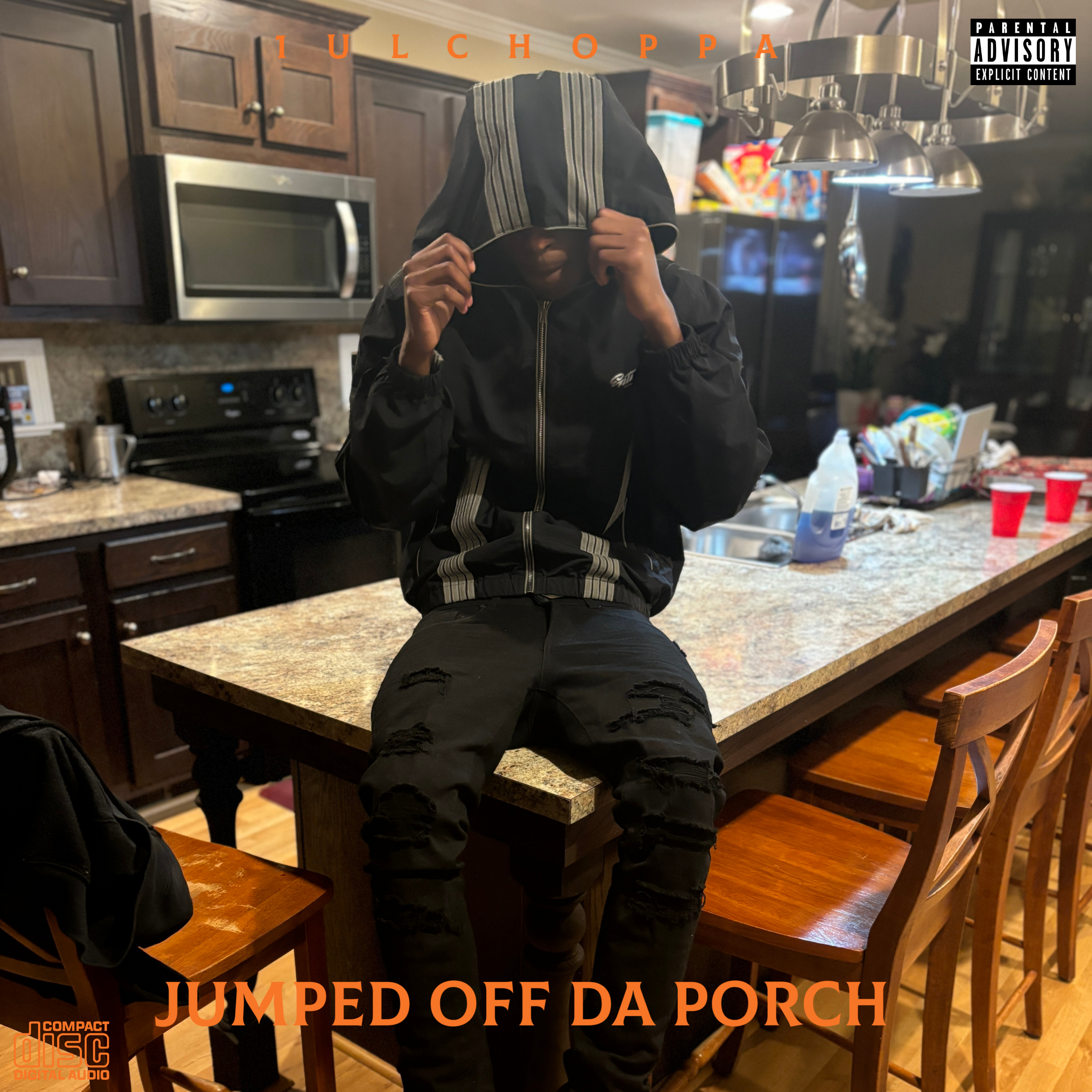jumped off da porch artwork