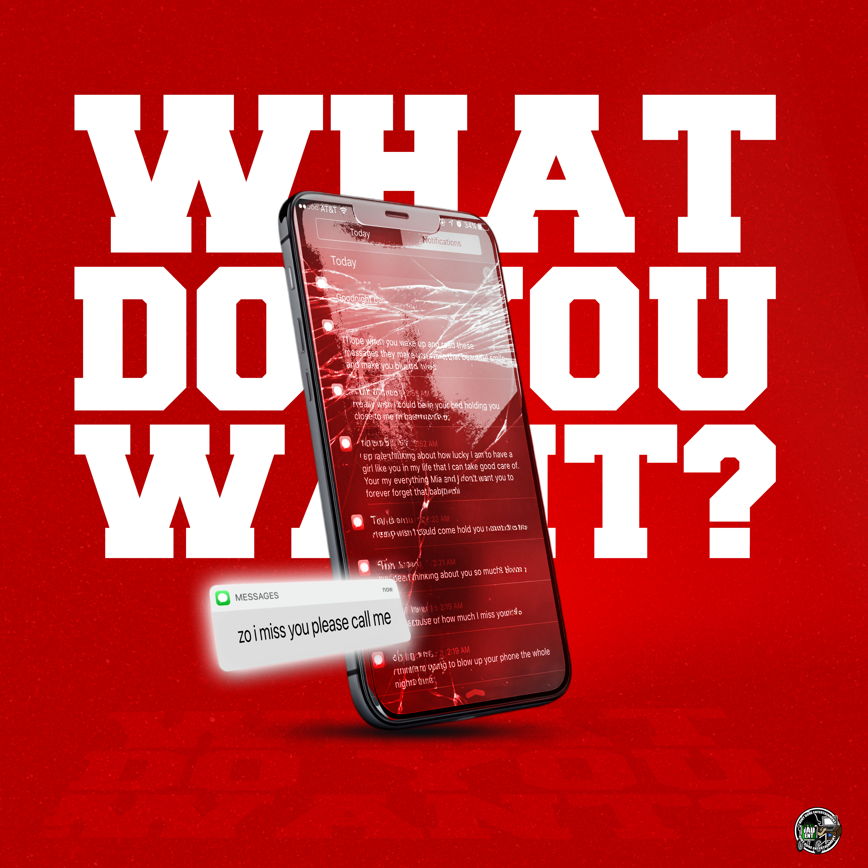What Do You Want artwork
