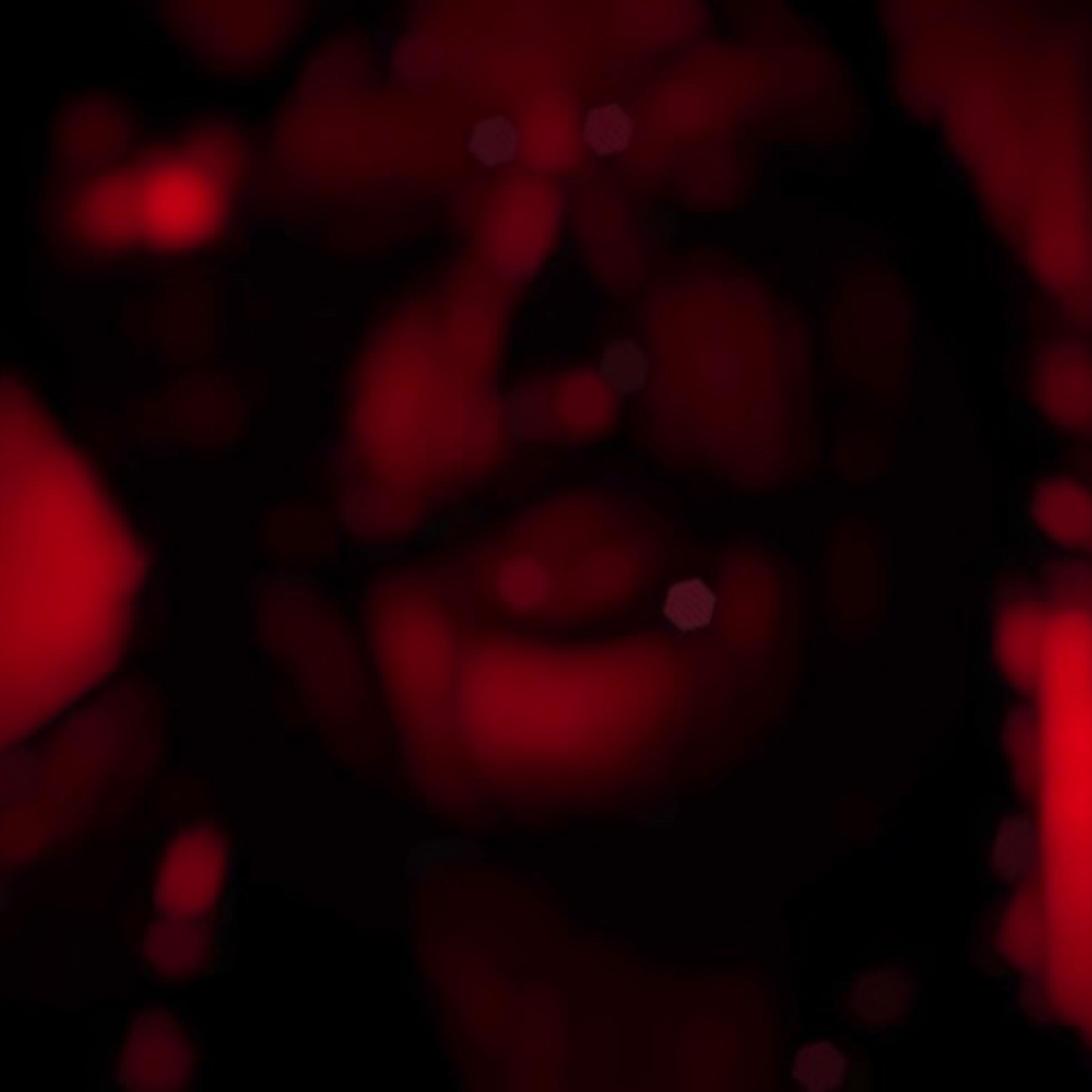 I Love You SUMMER 2 artwork