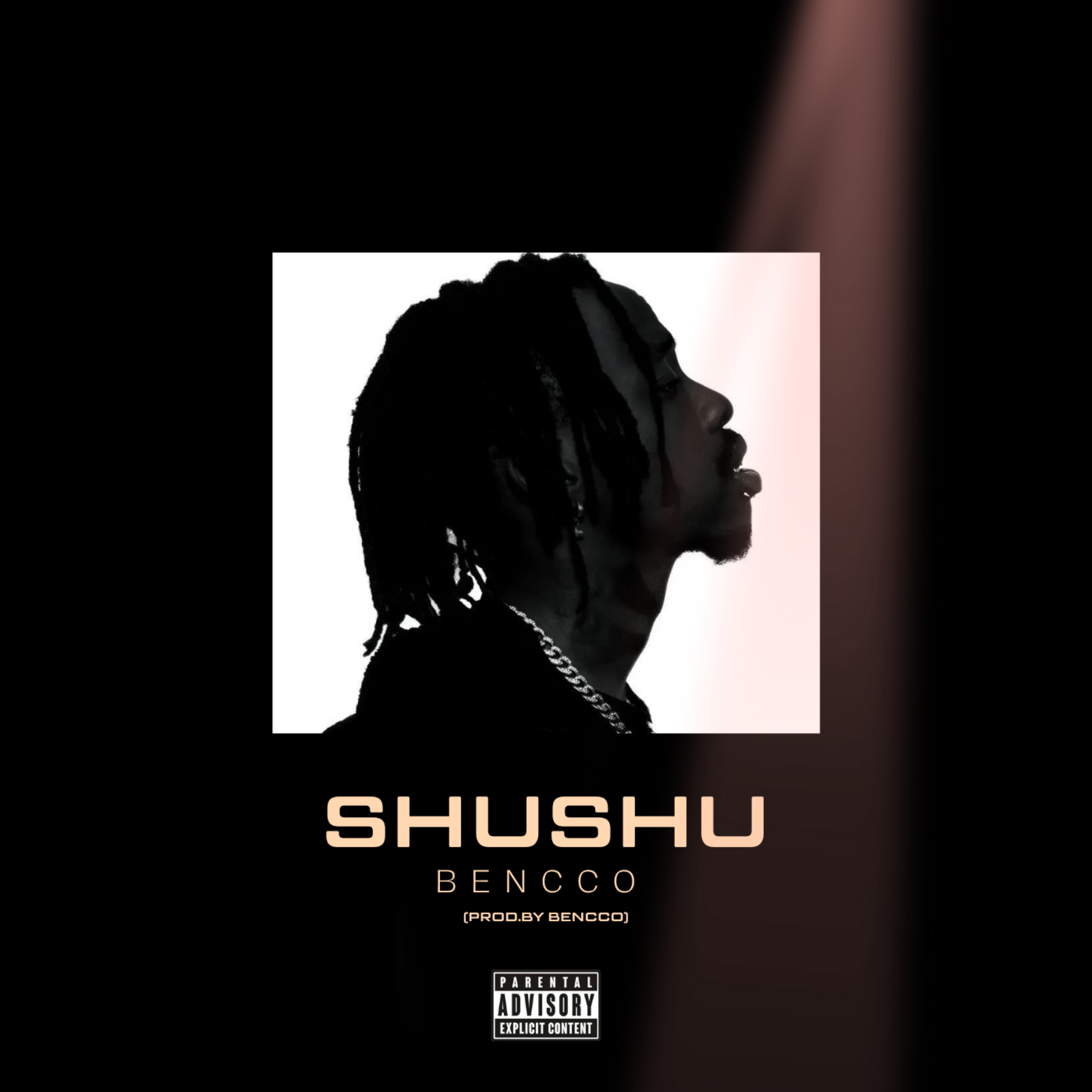Shushu artwork