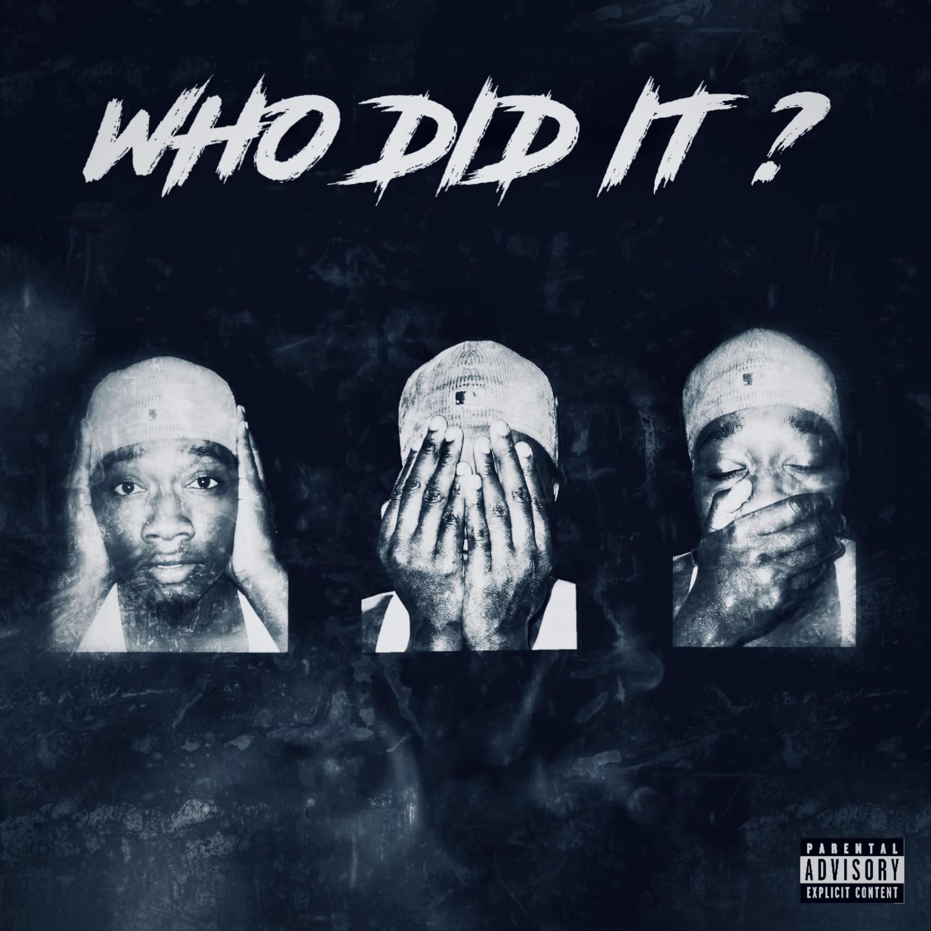 Who Did It ? artwork