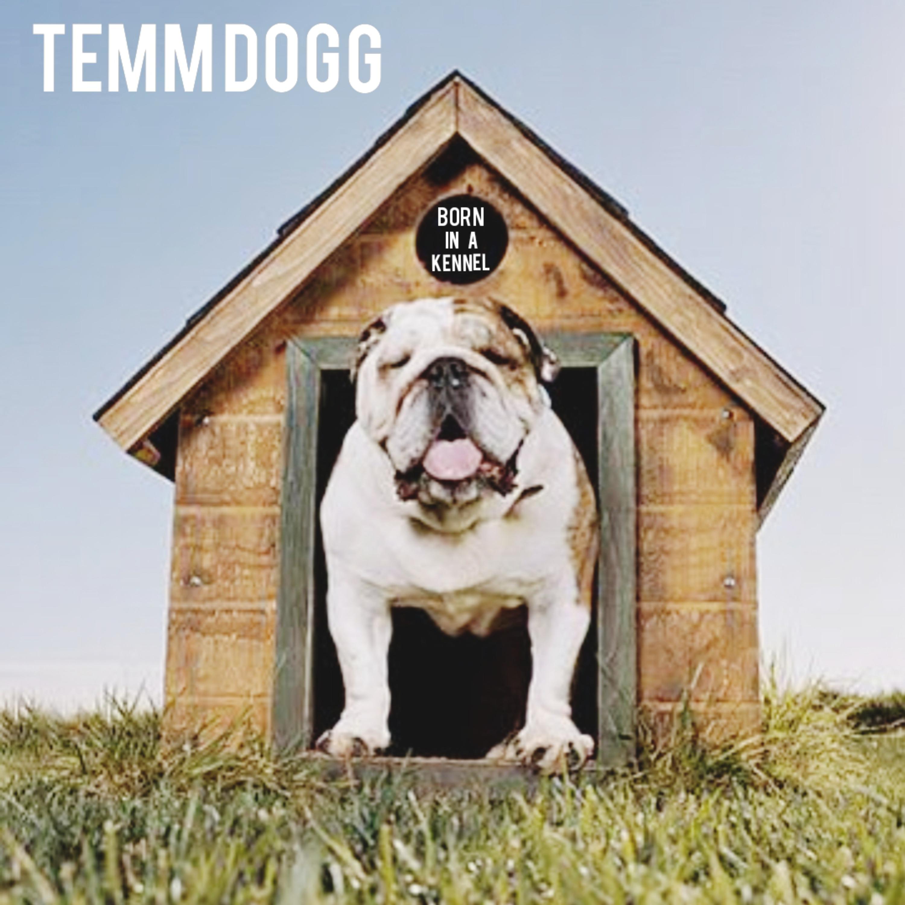 BORN IN A KENNEL artwork