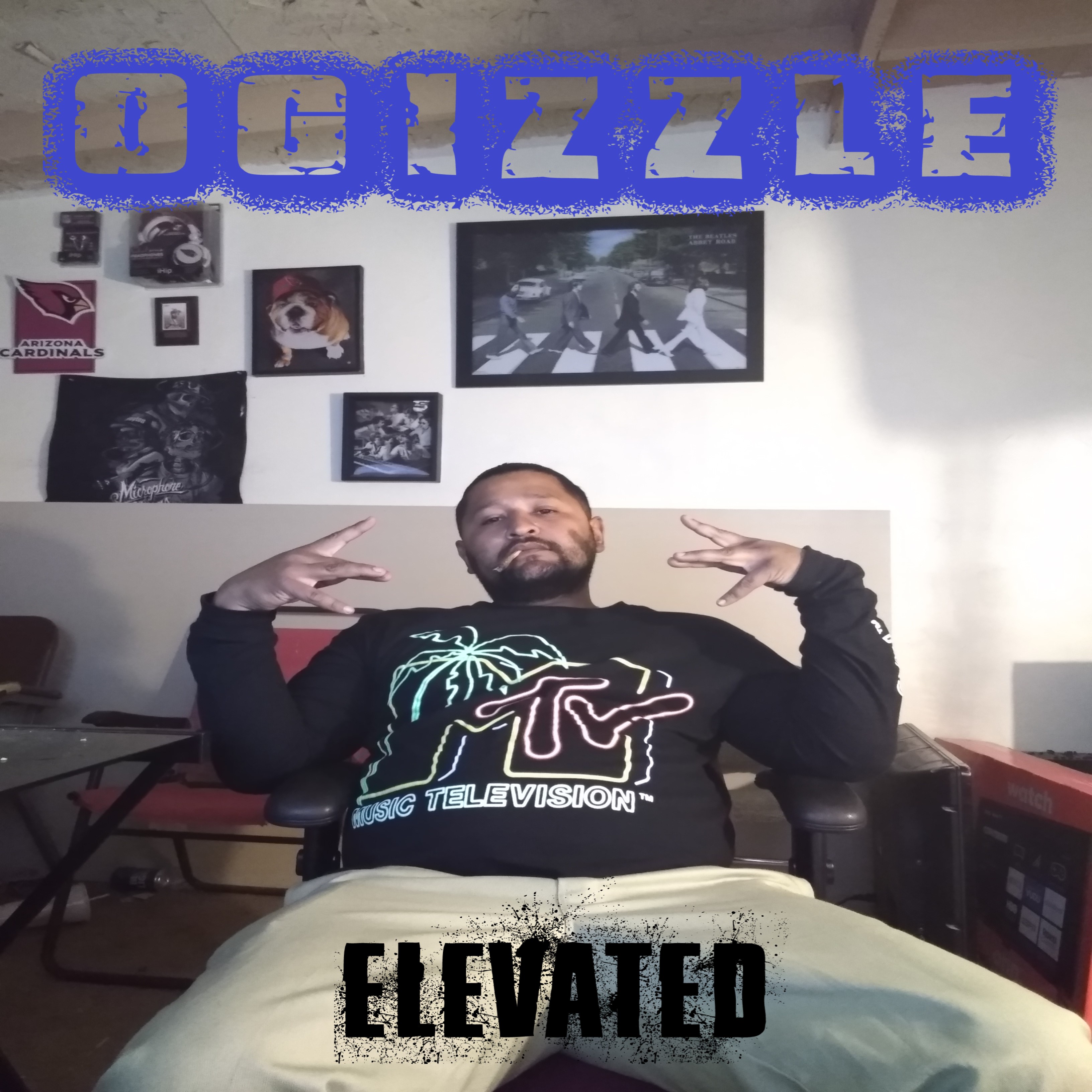 ELEVATED artwork