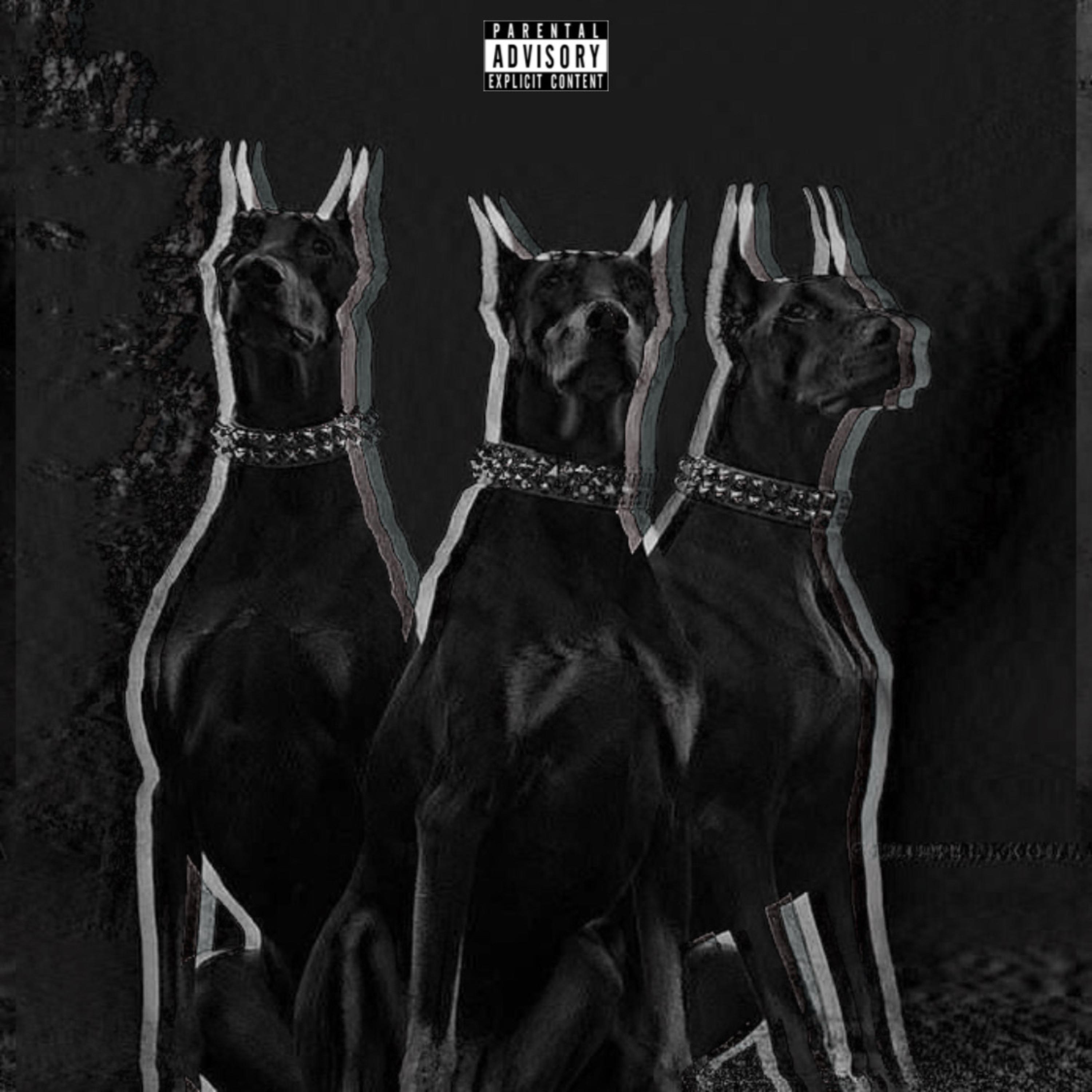 Teddy Bruckshot (Shottas) artwork