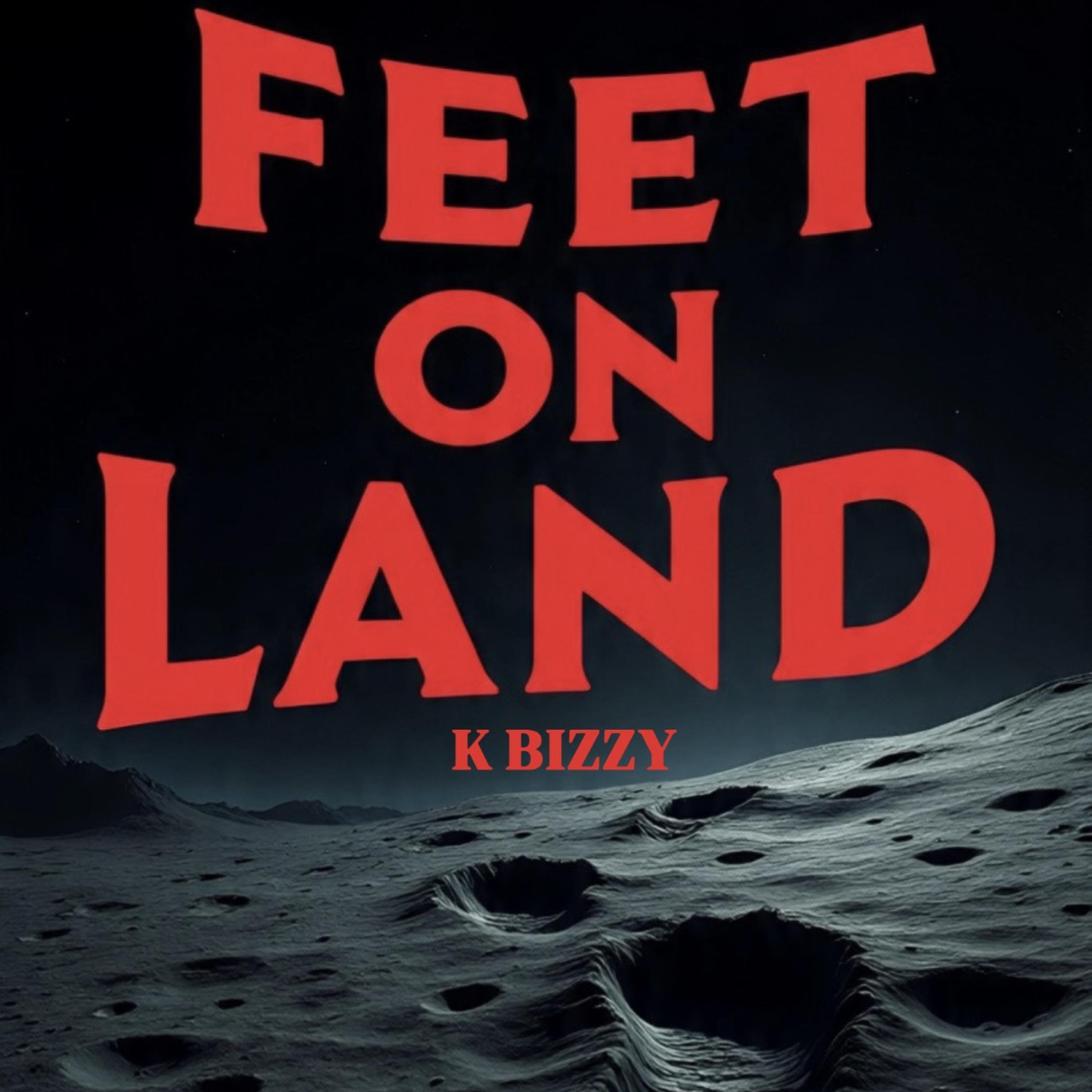 FEET ON LAND artwork