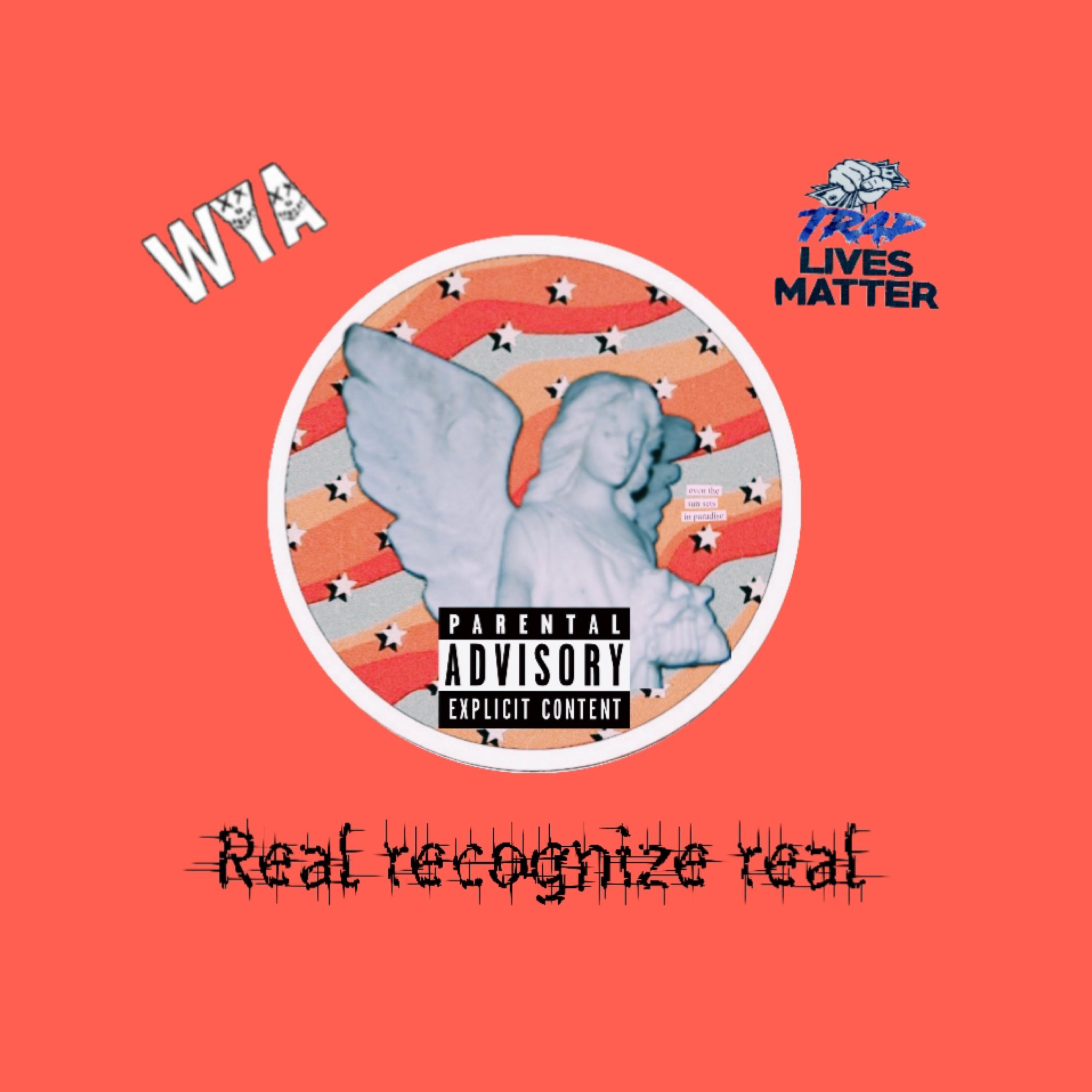 Real Recognize Real artwork
