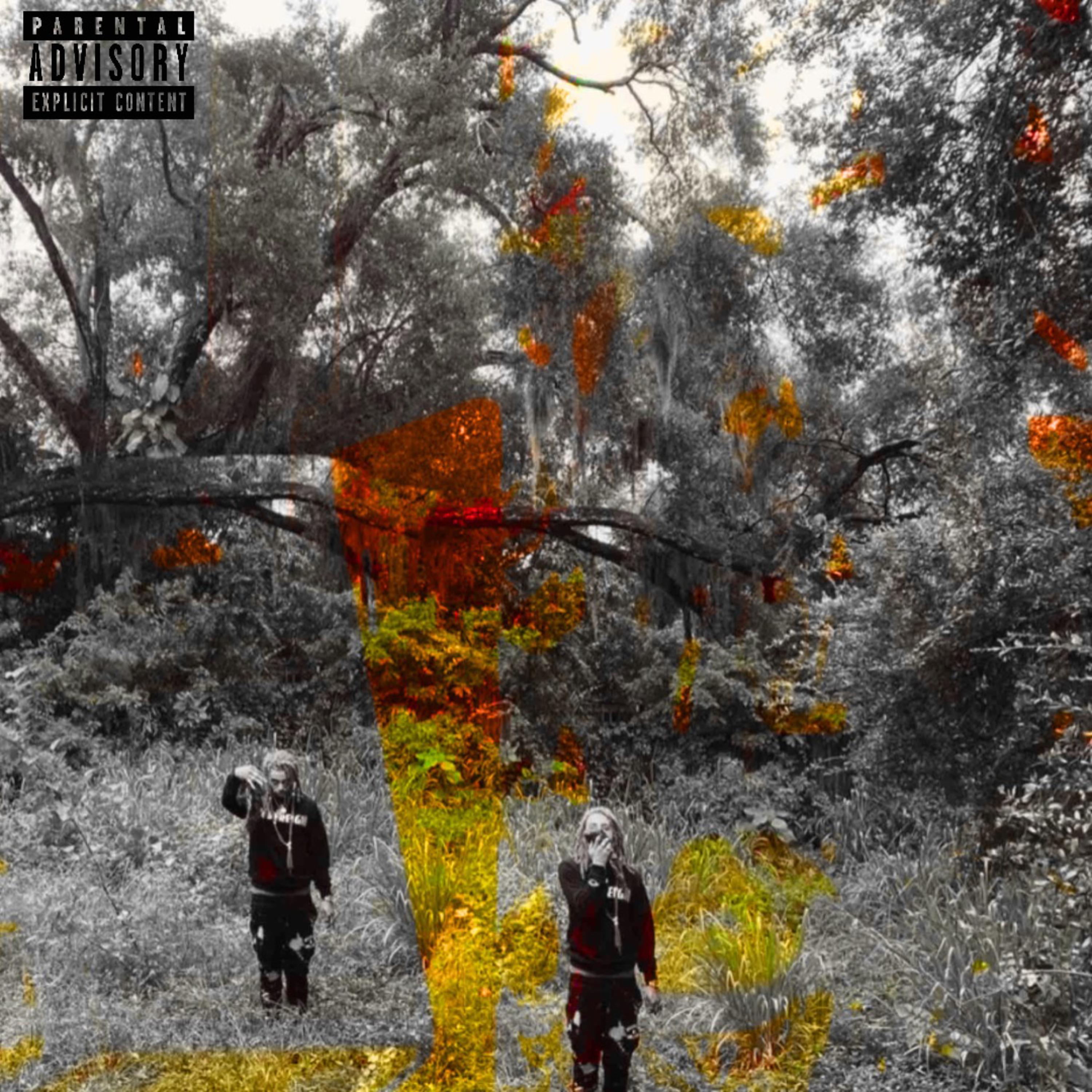 P@RRTT¥ P!K3 artwork