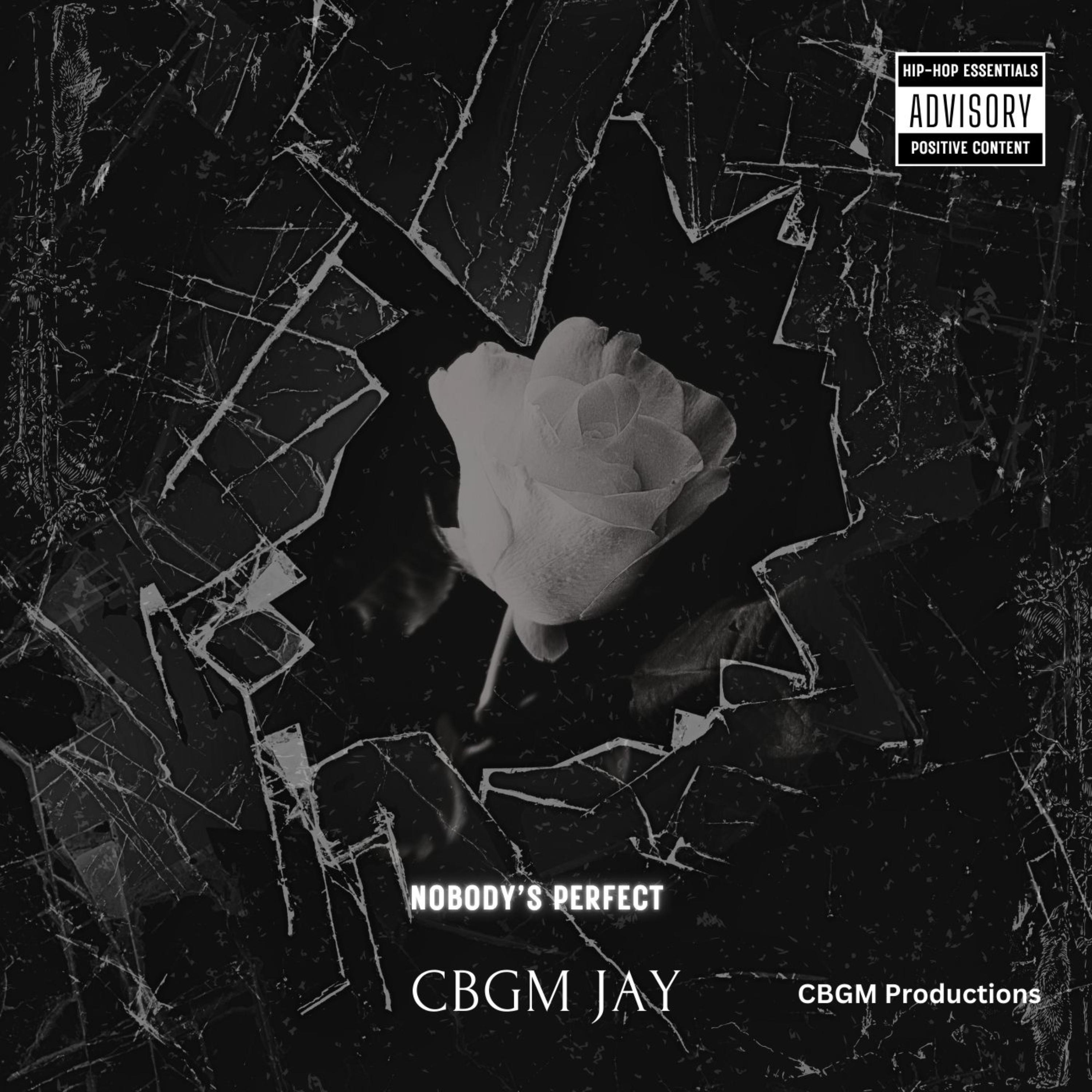 Nobody’s Perfect artwork