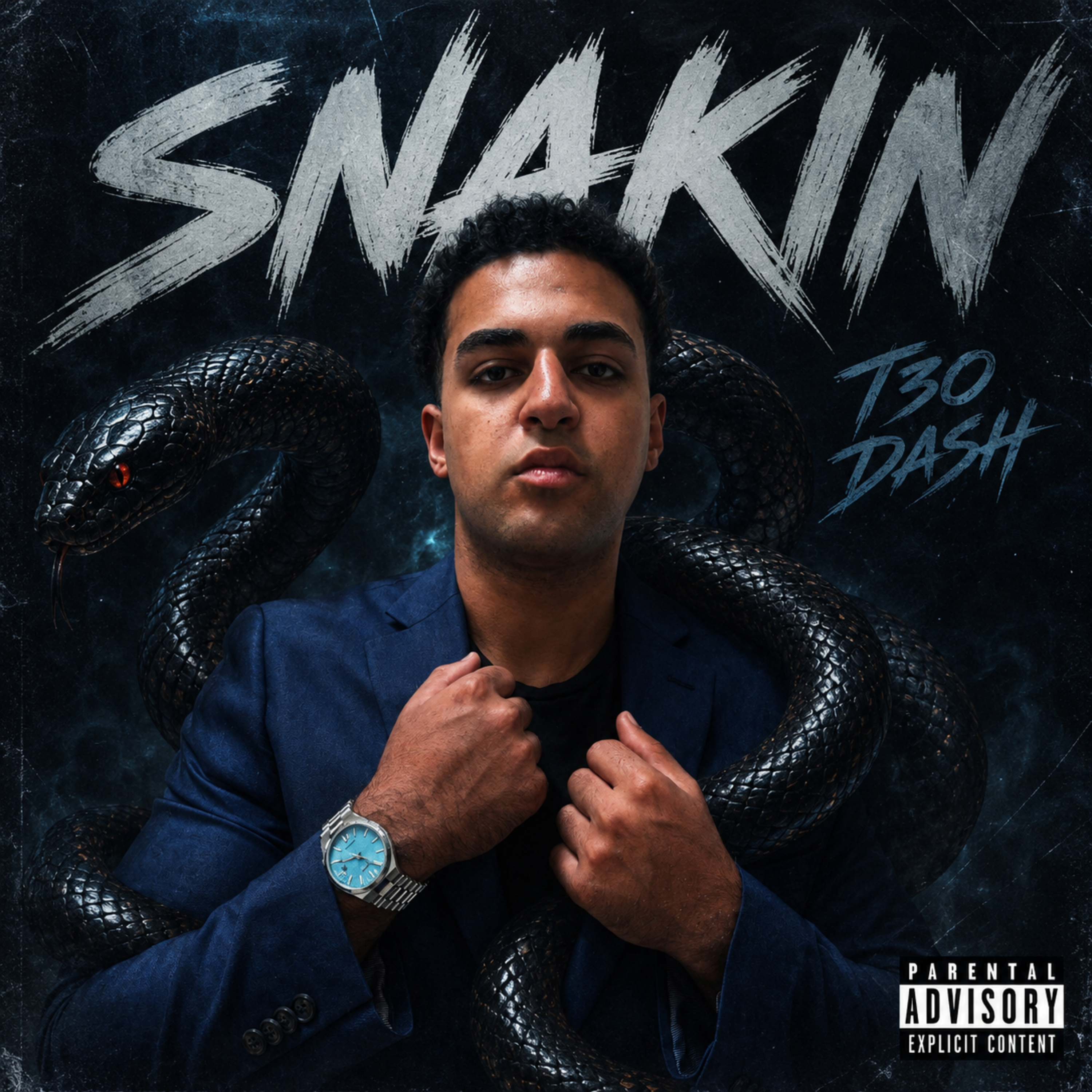 SNAKIN by T3O Dash cover art