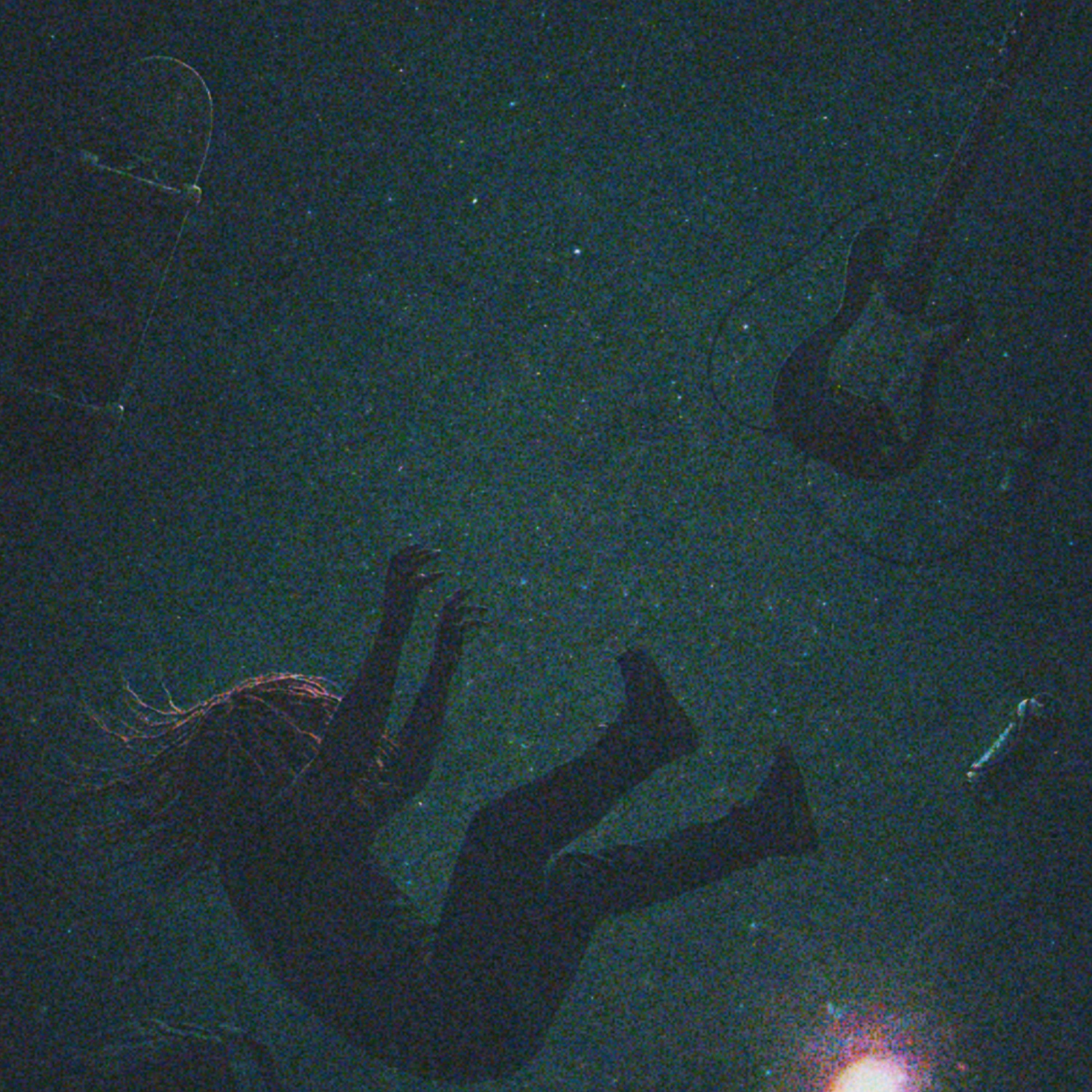 pacify artwork