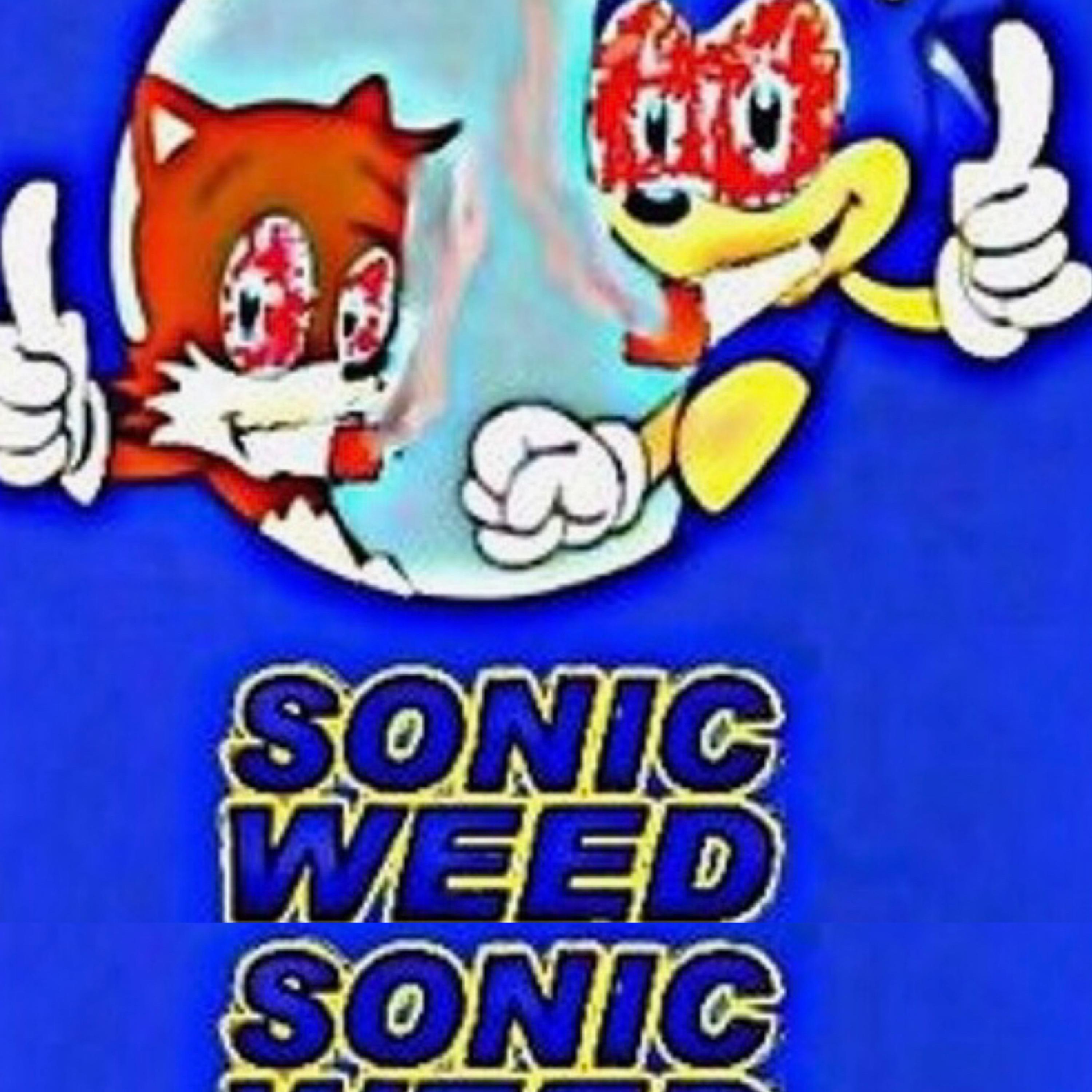 OG SONIC artwork
