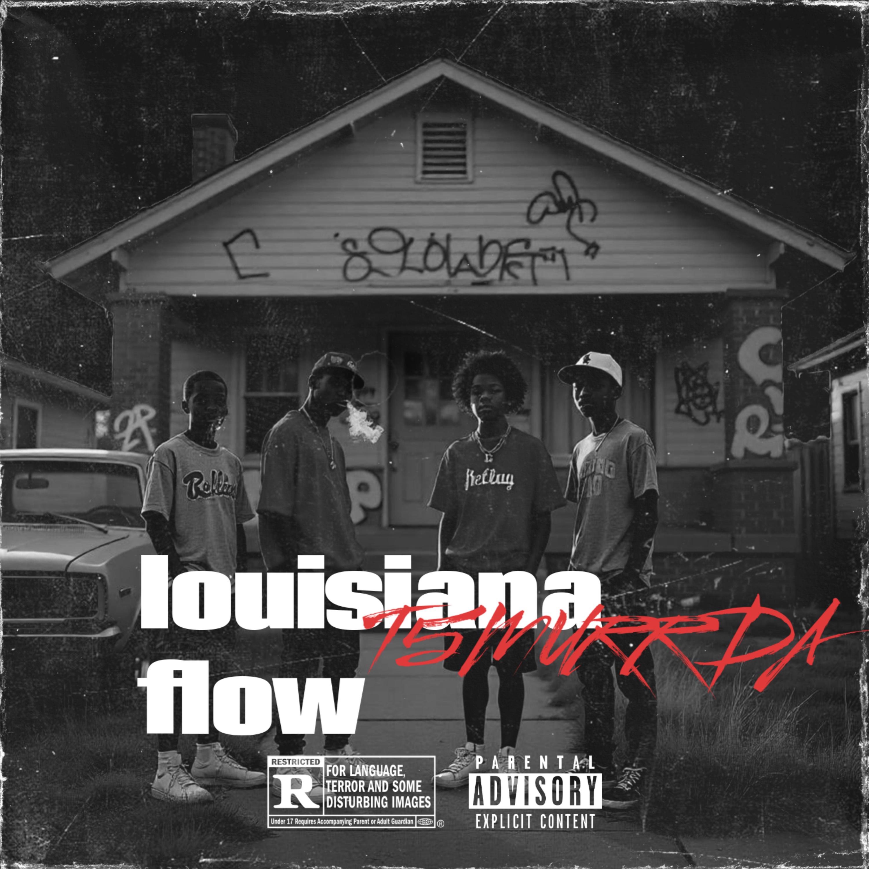 Louisiana Flow artwork