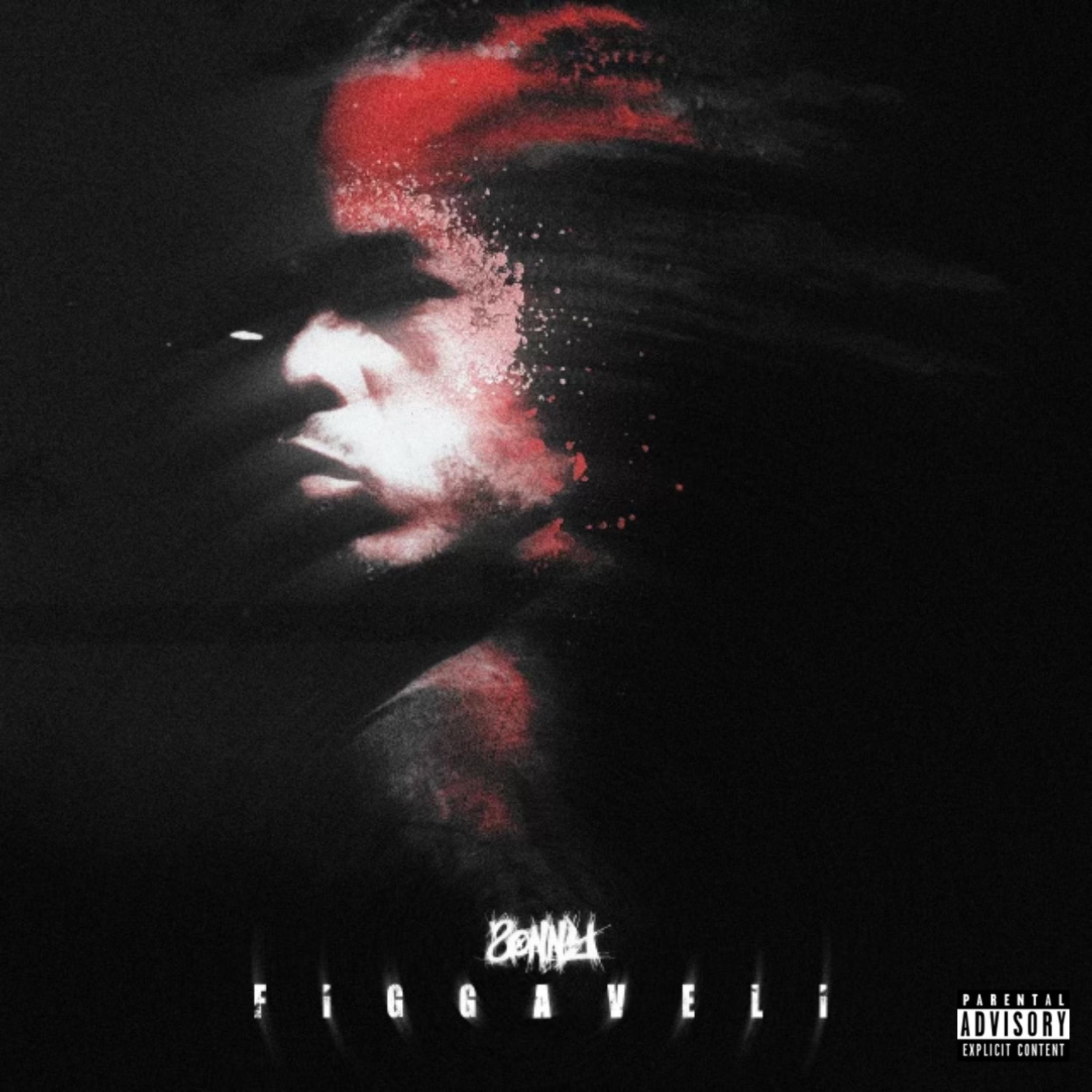 Sonny Figgaveli artwork