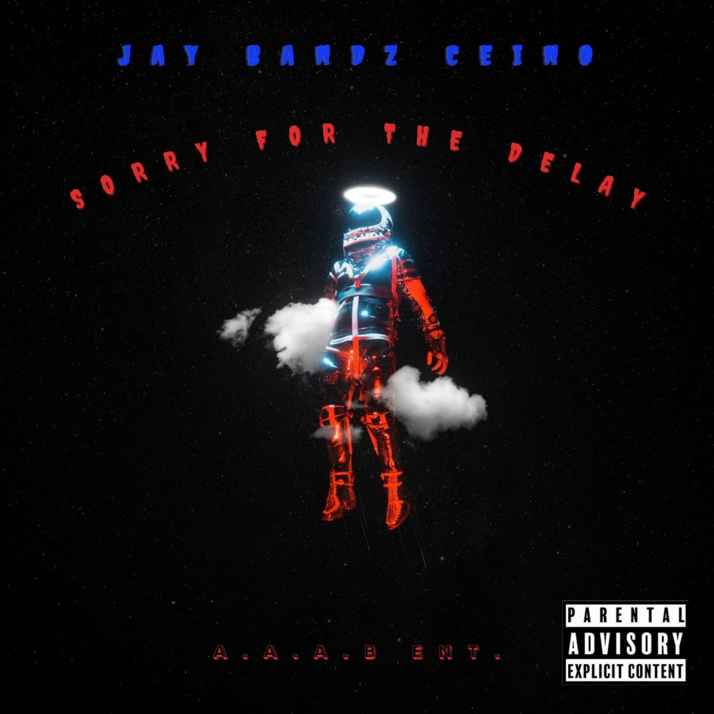 Sorry For The Delay artwork