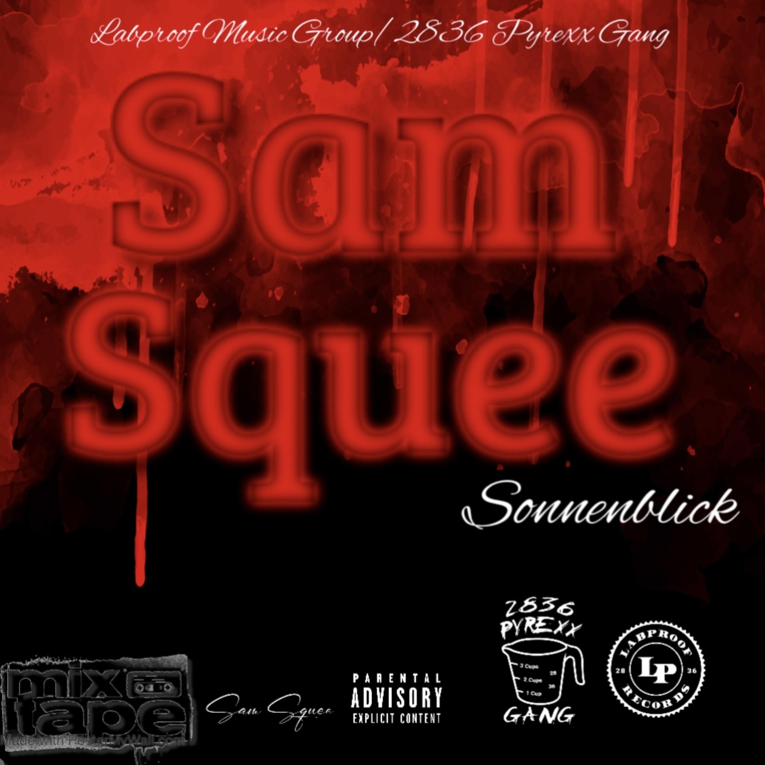 Sonnenblick by Sam Squee cover art