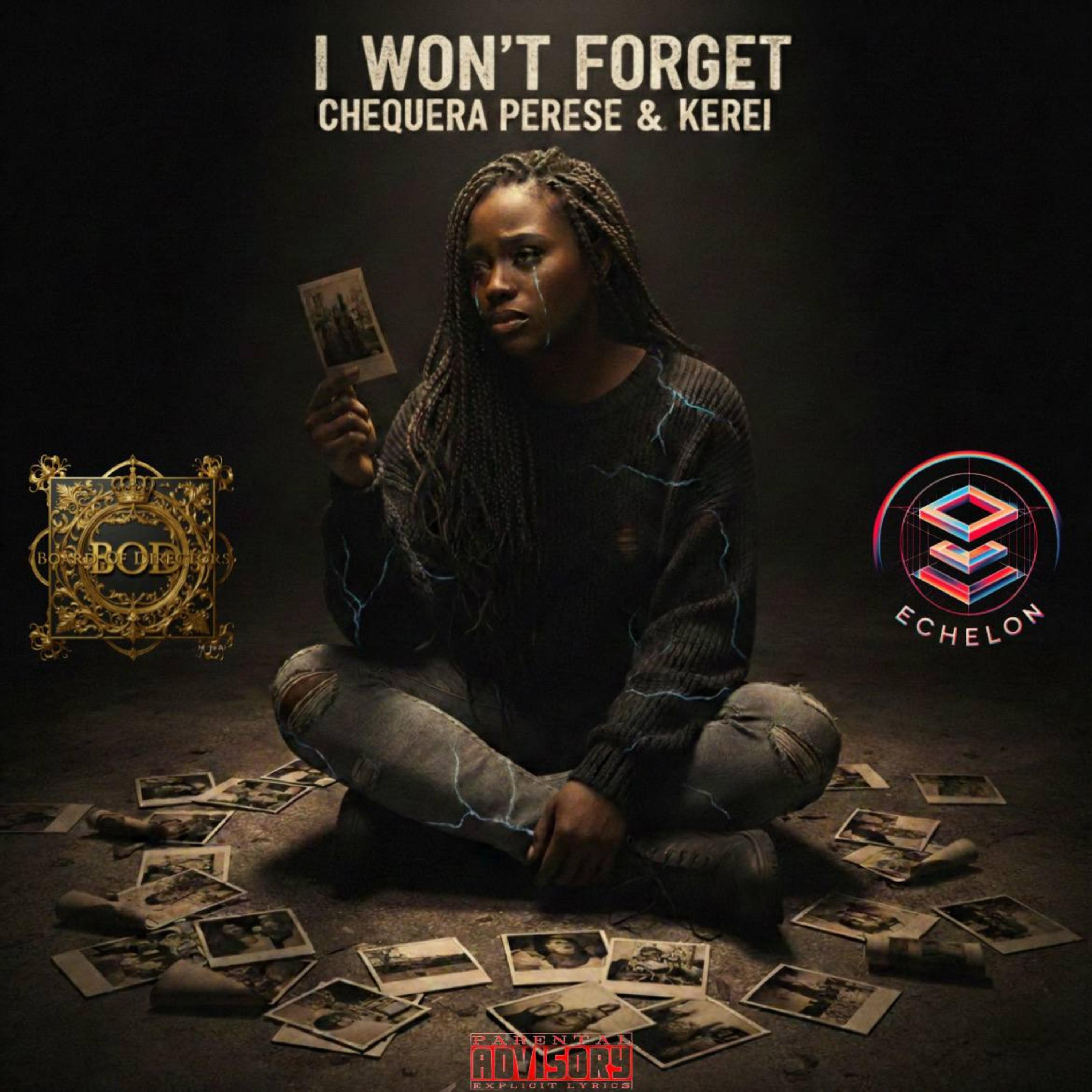 I Won’t Forget artwork