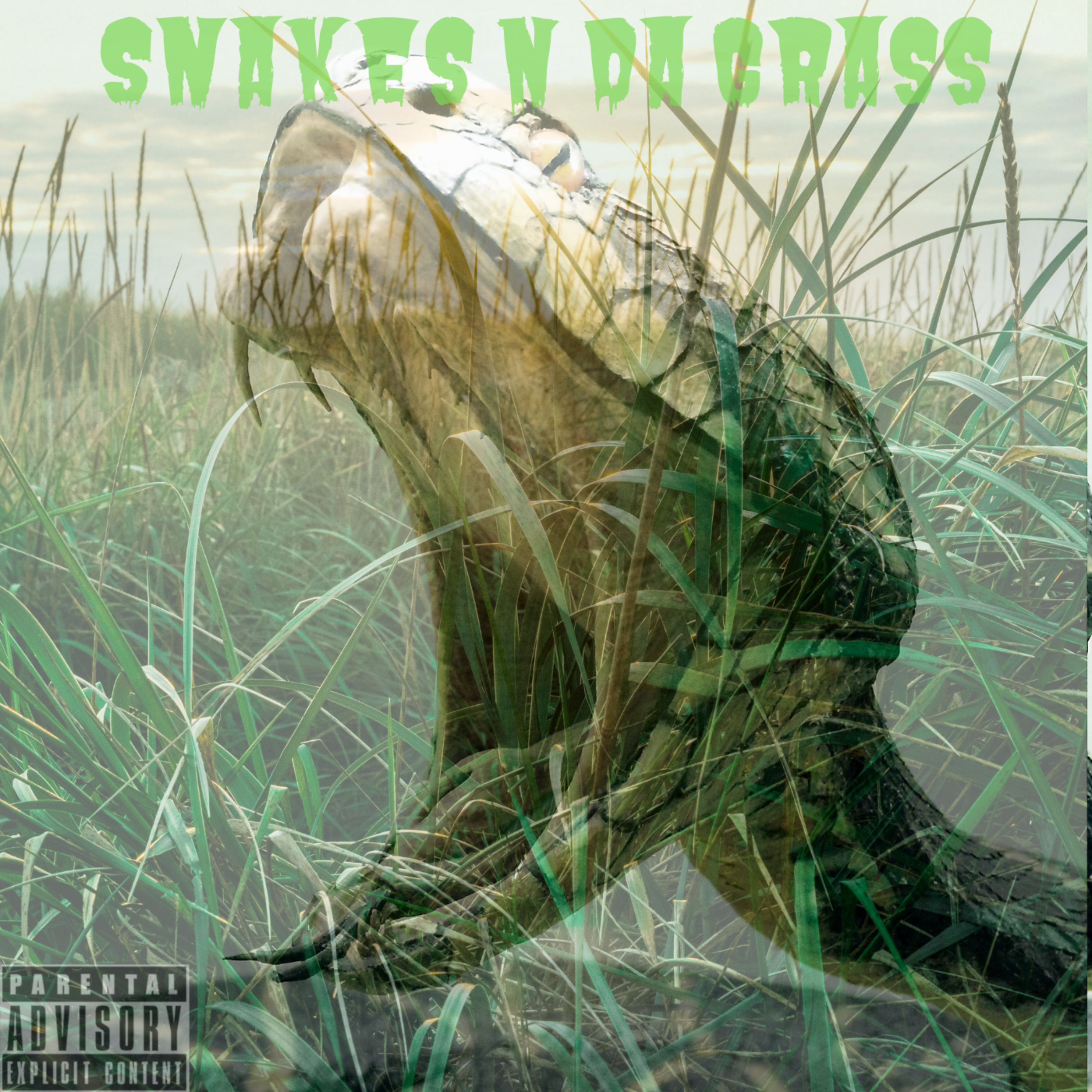 Snakes N Da Grass artwork