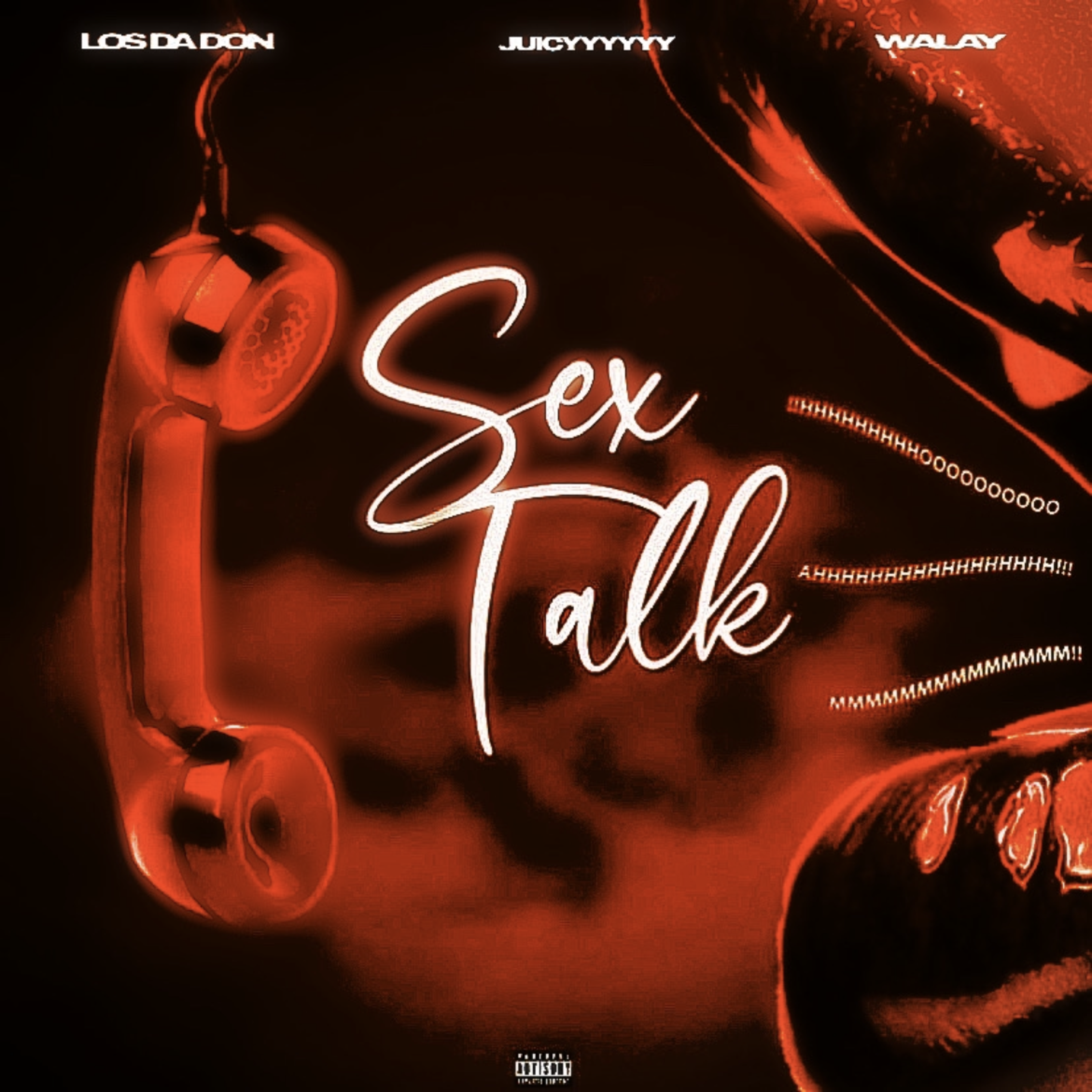 Sex Talkk ( Sex Talk ) artwork
