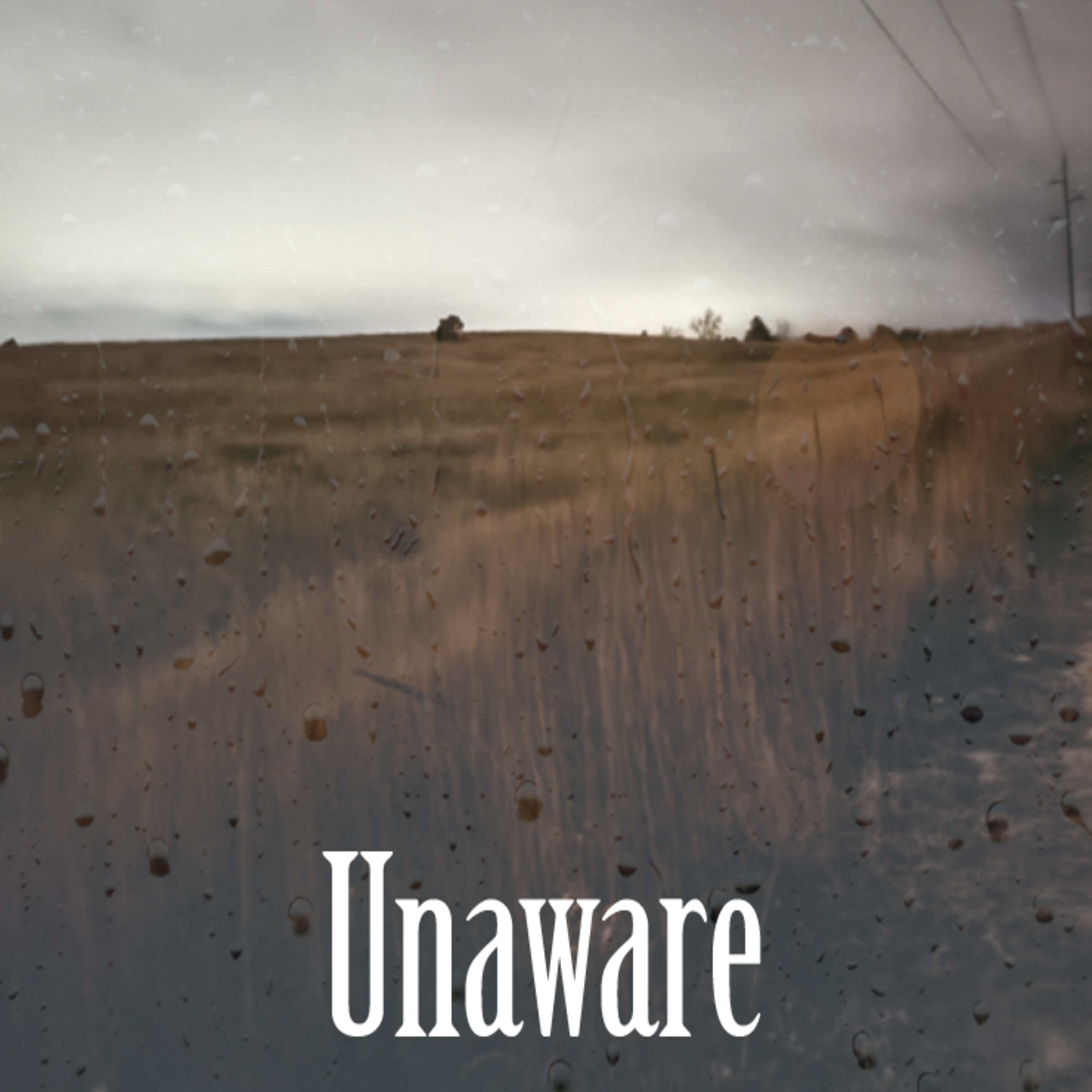 Unaware artwork