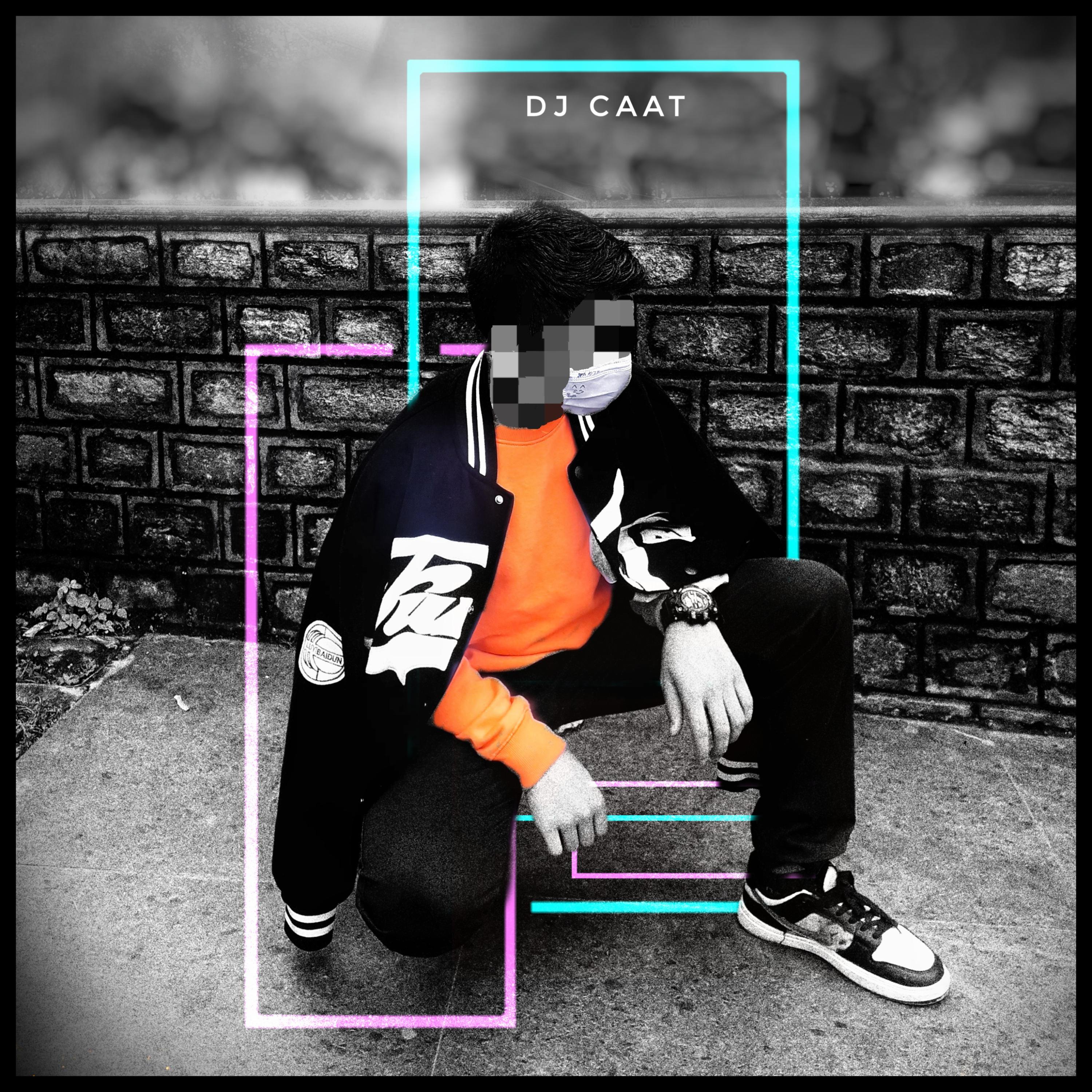 Dubstep Don by Dj Caat cover art