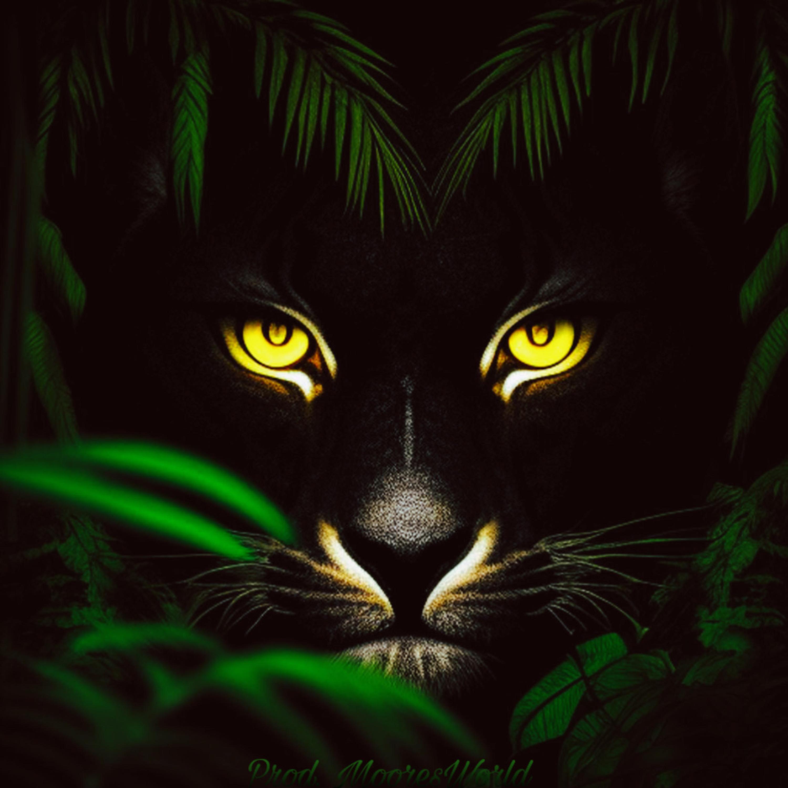 King of the Jungle artwork